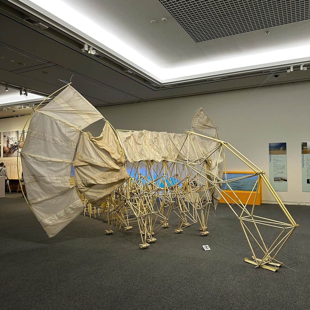 土井地博のインスタグラム：「テオ・ヤンセン展 /島根県立美術館 @theojansen_official @shimane_art_museum   #design   海面上昇問題解決のため、海岸で自生し砂を巻き上げて海岸線を守る生命体という発想を基点として生まれた「ストランドビースト（strand:砂浜、beest:生命体）」  プラスチックチューブで構成され風力により生物を思わせる歩行する。 科学と芸術を横断するテオ・ヤンセンの世界観は素晴らしく、美しい。  #theojansen #テオヤンセン #🇳🇱 #netherlands  #島根 #島根県立美術館」