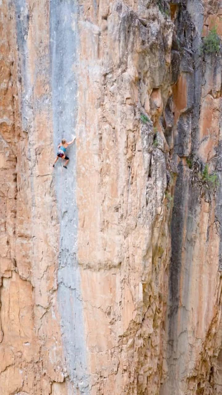 エミリー・ハリントンのインスタグラム：「Good ol’ ode to my favorite choss canyon featuring some major throwback footage from @andy_mann & @timnharrington (and some more recent footage from @ltjian). I’ll be there next week yew!!!! @thenorthface @kodiakcakes @tincupwhiskey @lasportivana @petzl_official @vuarnetofficial // edit @caleb.jacobson」