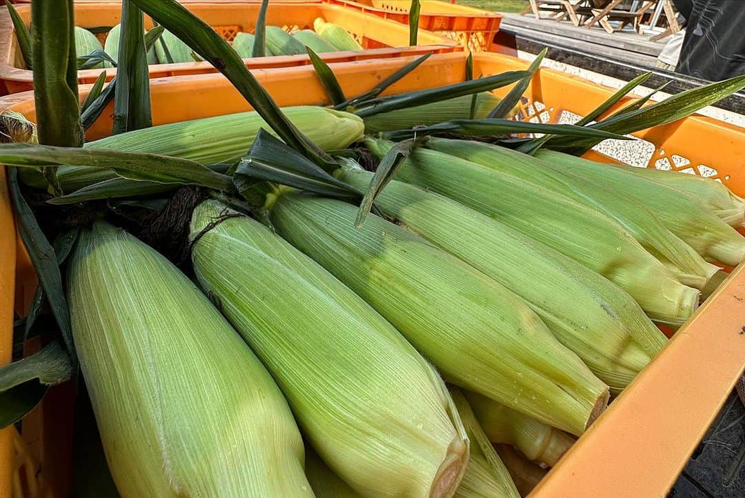 恋人バレンタインの泥んこ仲間のレシピ