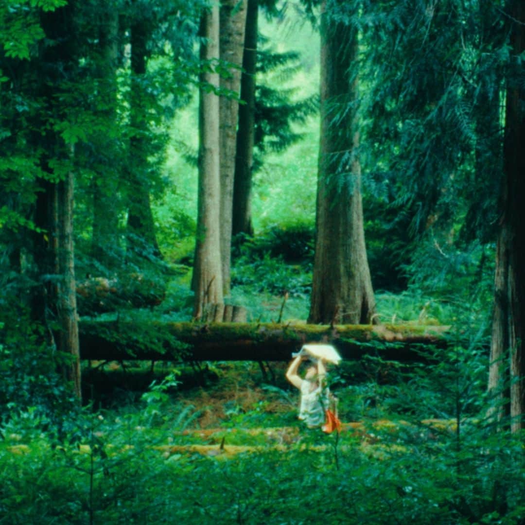 バーティ・ギルバートのインスタグラム：「🏕️PUNCHIN’🎣  artist @willjosephcook directed by @bertieegilbert  starring @the_grey_viking  dop @ciaranobriendop focus-puller and camera assistant @brynscamera  edit @bertieegilbert grade @ciaranobriendop」