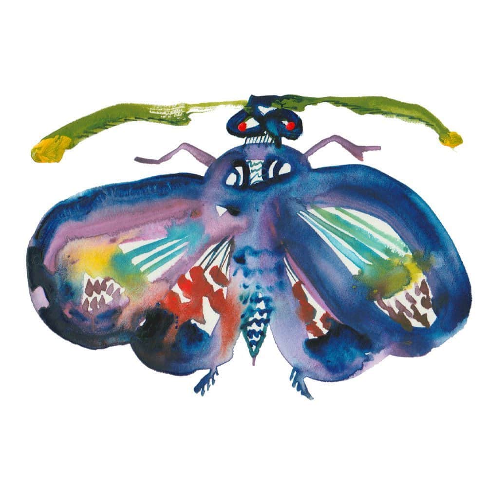 Boojilのインスタグラム：「Light and shadow / drawing insect  蝶は好きだけど蛾は嫌い。そうだろうか？果たして。そこに境はあるだろうか。綺麗な色は青や緑や黄色だろうか。では、ベージュやグレーは？  生まれ持った姿形をそのままに、どう捉えるかはあなたの勝手、わたしの勝手。好きも嫌いも自由である。鏡に映る自分も、自分の目で見る世界も全部、美しいのか、澱んでいるのか、穏やかなのか、混沌としているのか。  蛾のようにモタモタと飛ぶ姿はなんとなく今の自分に重なるようで、そんな自分もいいなと思う。蝶になる必要などなくて、蛾は蛾のまま生涯を生き抜く。みんなに綺麗だと言われなくたっていい、誰かの評価などいらない、自分で決める。  どんな人生も、それは、それぞれに、最高な時間。」