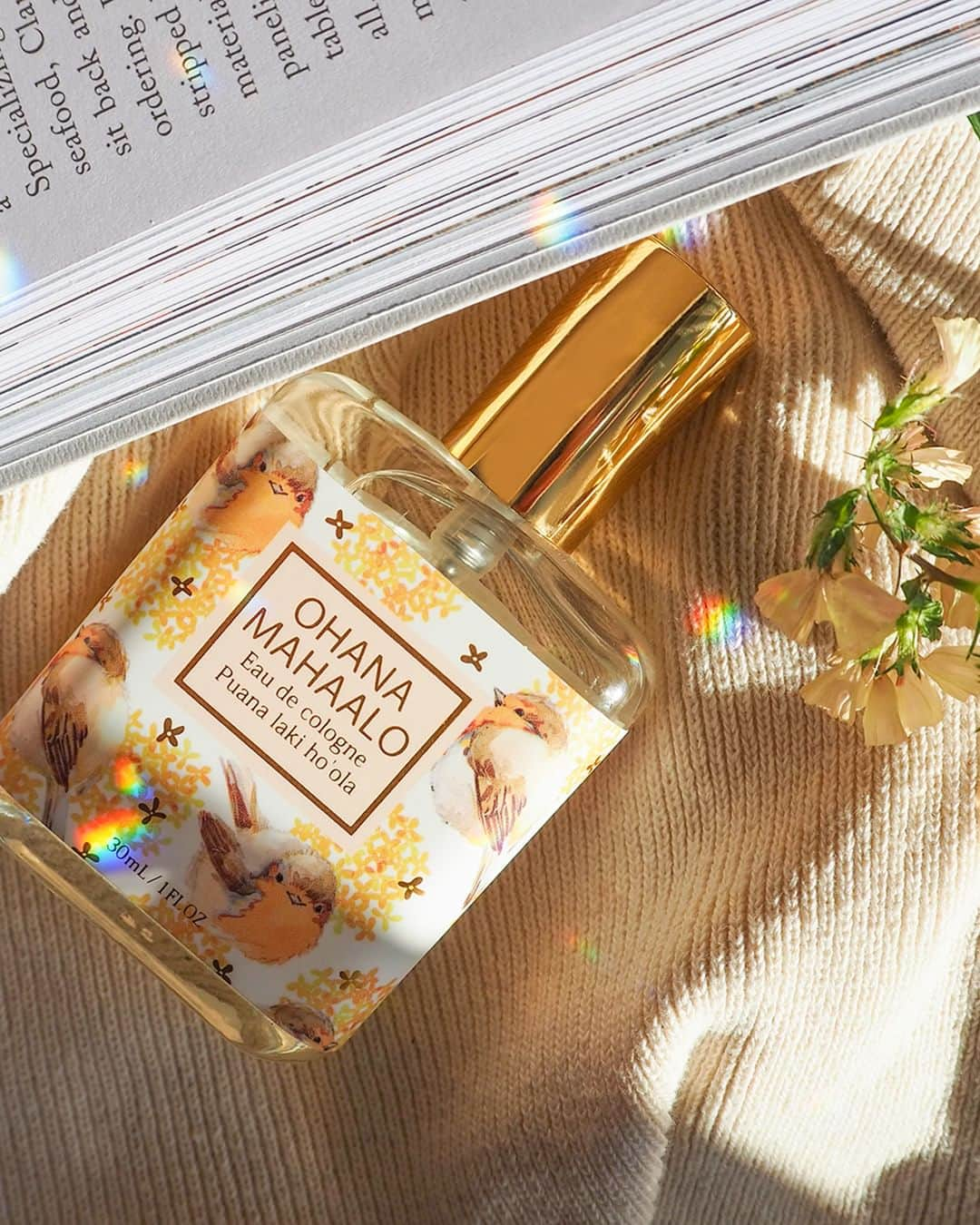 FRAGRANCYのインスタグラム