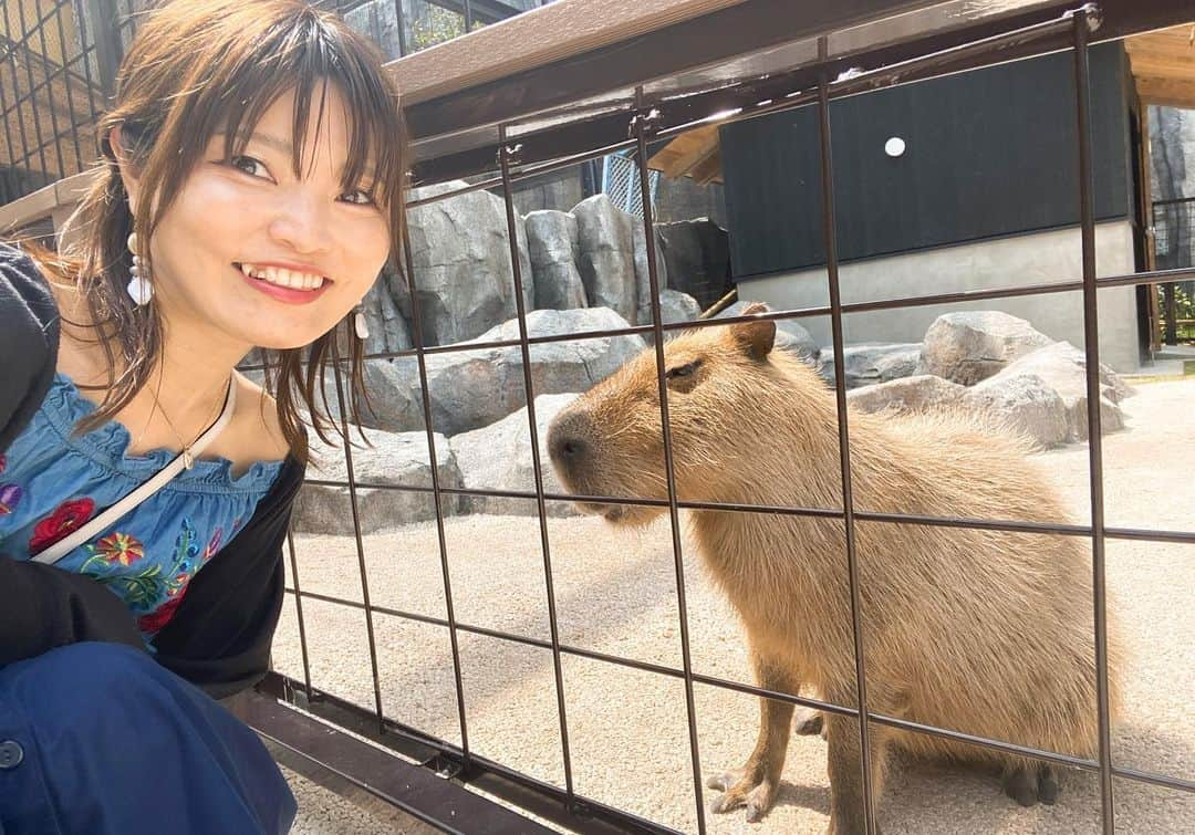 とぎもちさんのインスタグラム写真 - (とぎもちInstagram)「. 【沖縄旅行 🇯🇵 오키나와여행】  北谷方面にある 沖縄こどもの国へ 🐱💕  かなり広いし動物も沢山！！ ちょっとした乗り物などもあり 見所ありまくりでした😆✨  ちびもちも終始楽しそうでよかった🐹💓  #沖縄こどもの国 #北谷 #沖縄 #沖縄旅行 #沖縄観光 #ちびもち #とぎもち #動物園 #沖縄動物園 #오키나와여행 #오키나와 #오키나와코도모노쿠니 #동물원 #とぎもち沖縄こどもの国 #とぎもち動物園 #とぎもち沖縄旅行 #とぎもち沖縄 #とぎもち北谷」8月5日 11時01分 - togistagram