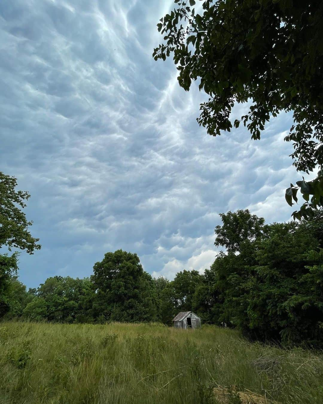 Kate Oliverのインスタグラム：「If I’m gonna post here, I might as well make it fun (and real). I spent a long time worrying about making my life look a certain way on here, but more on that another time.   Forgot to post a June roundup, so here goes:   - Cloud formations just before the tornado warnings blasted across our phones. - One of those porch mornings where the air is like silk.  - Me & A on a hike.  - An evening spent sanding doors in the studio while E went for her bike ride. - A little smoke from the chiminea and our beloved walnut tree all leafed out after a cold spring.  - Cowboy pool ready for summer dips. - Playing music stopped in our house for a long time. First night back after a few years, playing around with some songs we sang in the Before. Little bit nervous to share this one.  - Workin’ on the upstairs hallway. We’ve got three tiny things left to do and then maybe I’ll do a tour, if anyone’s into that sort of thing anymore. - Eerie sunset light in our bathroom on the days the smoke came down from Canada. The picture looks like an ad for my skincare regimen. It’s not. ;)  - Me and West on a morning run. She loves it. I can barely get my shoes on, because she knocks the basket with her leash into my lap. LET’S GO MA.   A good, busy, full month that feels like a long time ago already, because we went to Canada in July, and school’s already back in session (we’ve got an eighth grader). Time just goes faster and faster, doesn’t it?」