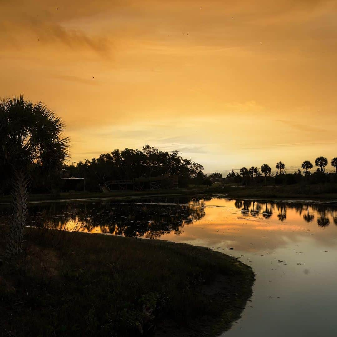 NikonUSAさんのインスタグラム写真 - (NikonUSAInstagram)「For the next stop on the #NikonCreators Road Trip, we are catching up with Suzy Johnston in Florida. Have photos and videos from Florida? Tag us and use #NikonCreators so we can see your view!  For these shots from Florida, @johnston_suzan used the Nikon Z 50 + Z 5 with NIKKOR Z lenses like NIKKOR Z 100-400mm f/4.5-5.6 VR S. She loves that her camera has allowed her to slow down and see the beauty around her: “My husband bought me my first camera, a Nikon Z 50 in 2019. He upgraded me to the Z 5 with the NIKKOR Z 100-400mm f/4.5-5.6 VR S. Almost every morning we do a walk at sunrise photographing birds and the beauty of the preserve. The first light in the morning is magical and through the viewfinder I see details and nuances I’ve missed before.”  #NikonZ50 #NikonZ5 #Z50 #Z5 #NIKKORZ #BirdPhotography #RoadTrip #FloridaPhotography」8月5日 3時04分 - nikonusa