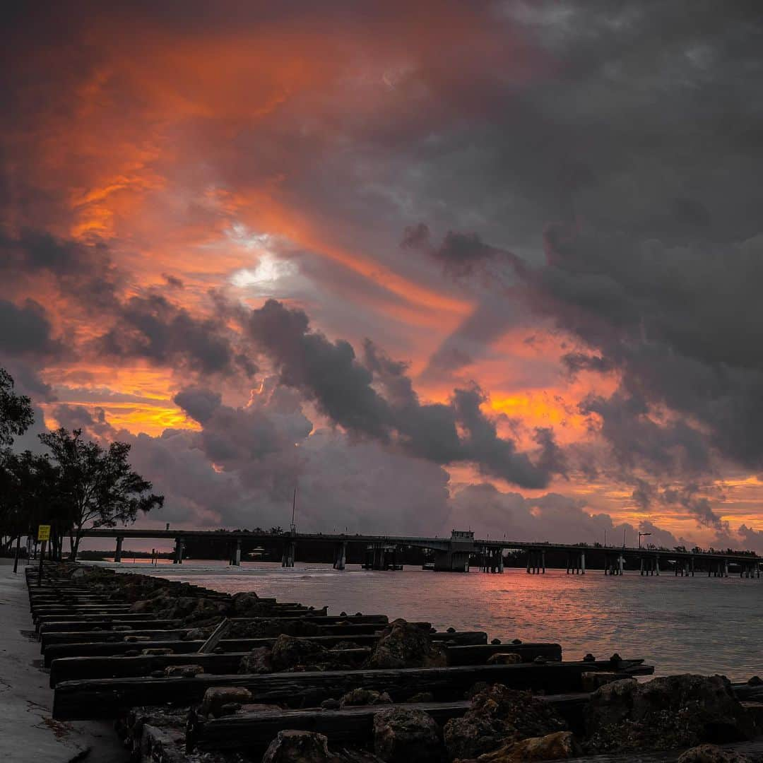 NikonUSAさんのインスタグラム写真 - (NikonUSAInstagram)「For the next stop on the #NikonCreators Road Trip, we are catching up with Suzy Johnston in Florida. Have photos and videos from Florida? Tag us and use #NikonCreators so we can see your view!  For these shots from Florida, @johnston_suzan used the Nikon Z 50 + Z 5 with NIKKOR Z lenses like NIKKOR Z 100-400mm f/4.5-5.6 VR S. She loves that her camera has allowed her to slow down and see the beauty around her: “My husband bought me my first camera, a Nikon Z 50 in 2019. He upgraded me to the Z 5 with the NIKKOR Z 100-400mm f/4.5-5.6 VR S. Almost every morning we do a walk at sunrise photographing birds and the beauty of the preserve. The first light in the morning is magical and through the viewfinder I see details and nuances I’ve missed before.”  #NikonZ50 #NikonZ5 #Z50 #Z5 #NIKKORZ #BirdPhotography #RoadTrip #FloridaPhotography」8月5日 3時04分 - nikonusa