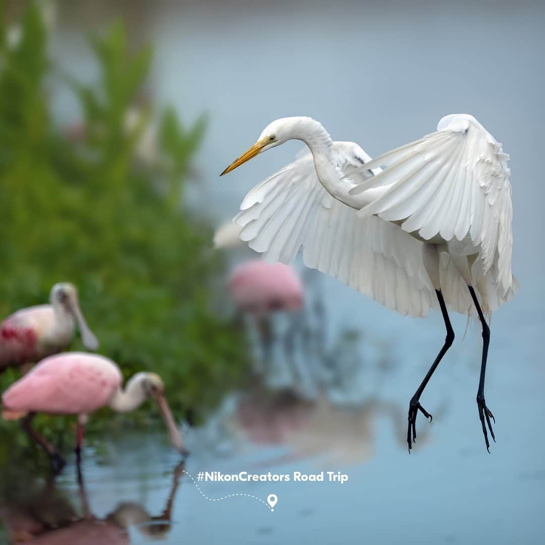 NikonUSAのインスタグラム