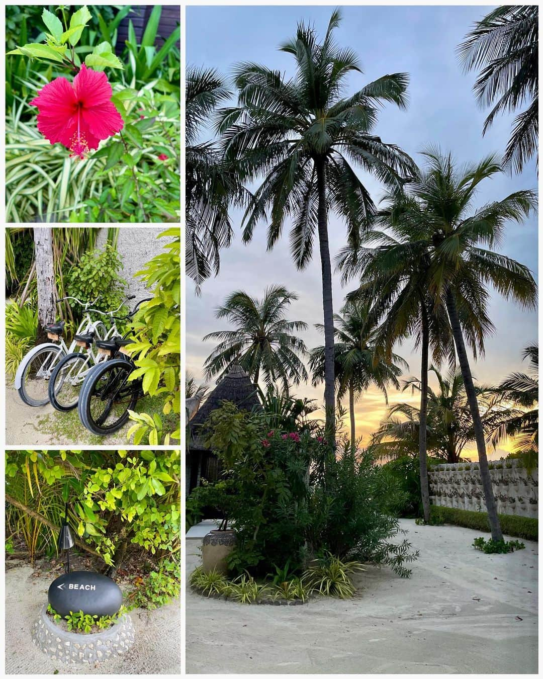 リン・ハッチソンさんのインスタグラム写真 - (リン・ハッチソンInstagram)「Maldives dump Better late than nevaaaaa ✌️」8月5日 3時13分 - lynnekarinahutch