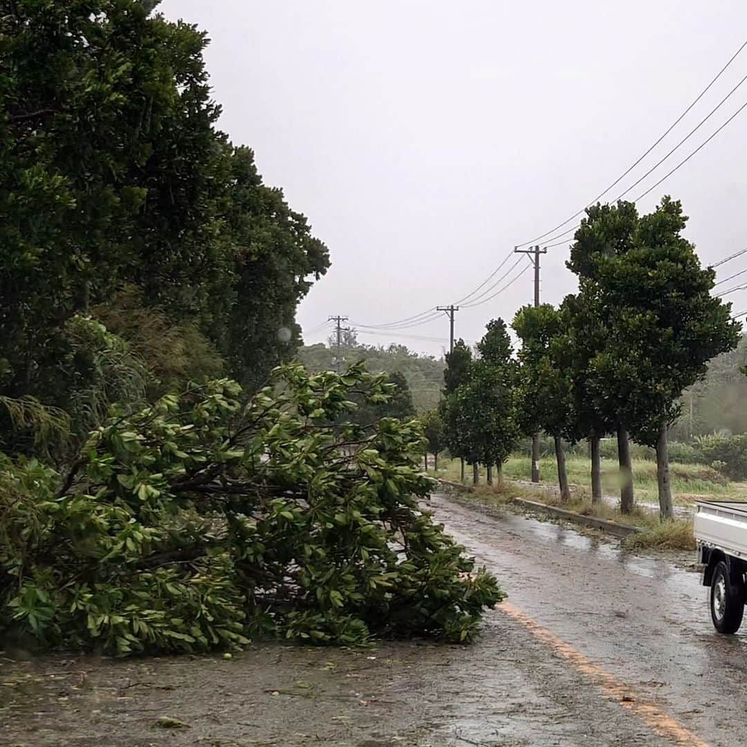 森末慎二のインスタグラム：「🦐みゃ〜く商店です。  宮古島は暴風雨警報から抜けて波浪注意報になりました。でもまだ風が強く雨が降ってます。長かった😢道には木が倒れて道には葉っぱだらけでした。ほとんどのお店も再開してます。まだ本島に台風🌀が近づいてい大きな被害にならないことを祈ります。  お店は通常通りの営業に戻りました。皆さんのお越しをお待ちしています。風に気をつけてお越しください。  お店電話番号  0980-79-9292 田中店長　070-8429-7387 お昼ランチはオープン11:30〜14:30ラストオーダー15:00です。夜の🏮居酒屋は17:30から21:00です。予約のお電話お待ちしています。定休日は水曜日、木曜日です。#みゃーく商店  #宮古島 #天丼 #宮古島野菜 #宮古島ランチ #宮古島グルメ #車海老 #グルクンの天ぷら #宮古島ごはん #宮古島天丼 #宮古島海老天丼 #沖縄天丼 #海老天丼 #海老 #島食材 #沖縄宮古島 #沖縄 #パパイアの天ぷら   #車海老天丼  #okinawa #居酒屋#miyakojima #森末慎二 #morisue shinji #TUBE #前田亘輝 #BEGIN  #サザンオールスターズ  #松田弘」