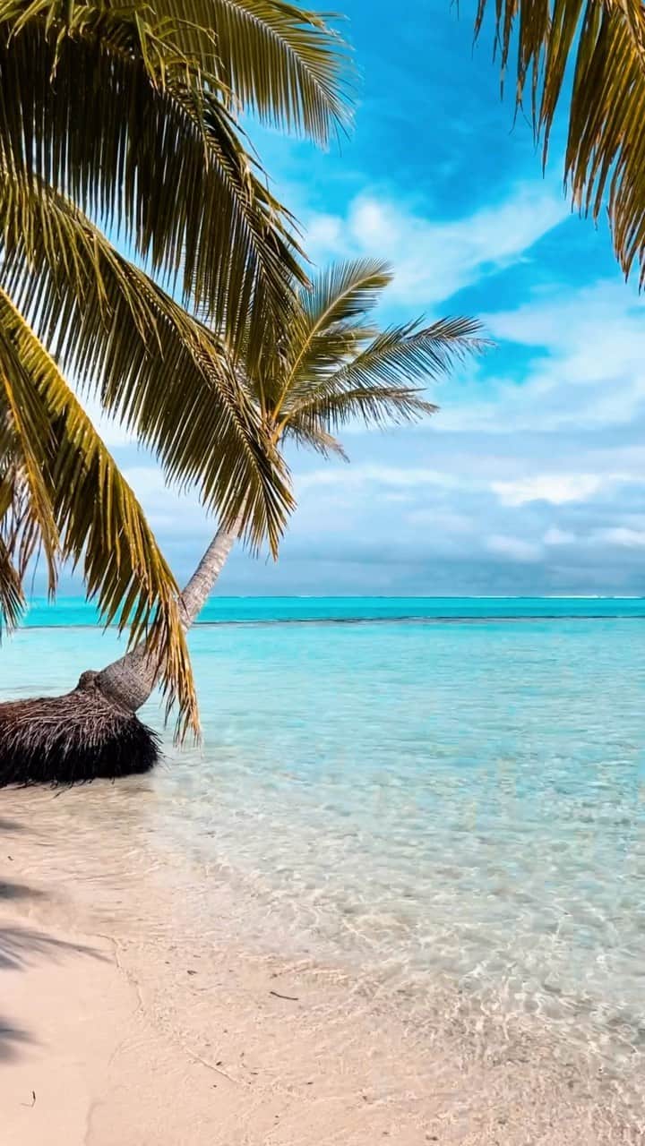 ハワイアン航空のインスタグラム：「Craving more #IslandLife? 🏝️ The Cook Islands are the perfect place to escape to.🌴✨  See our low fares at HawaiianAirlines.com/Rarotonga.   #CookIslands #Rarotonga #VisitCookIslands #HawaiianAirlines #IslandStyle」