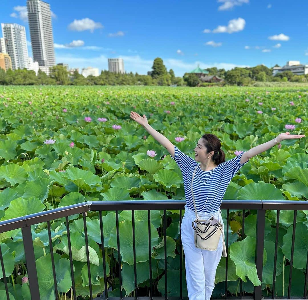 芦田桂子のインスタグラム