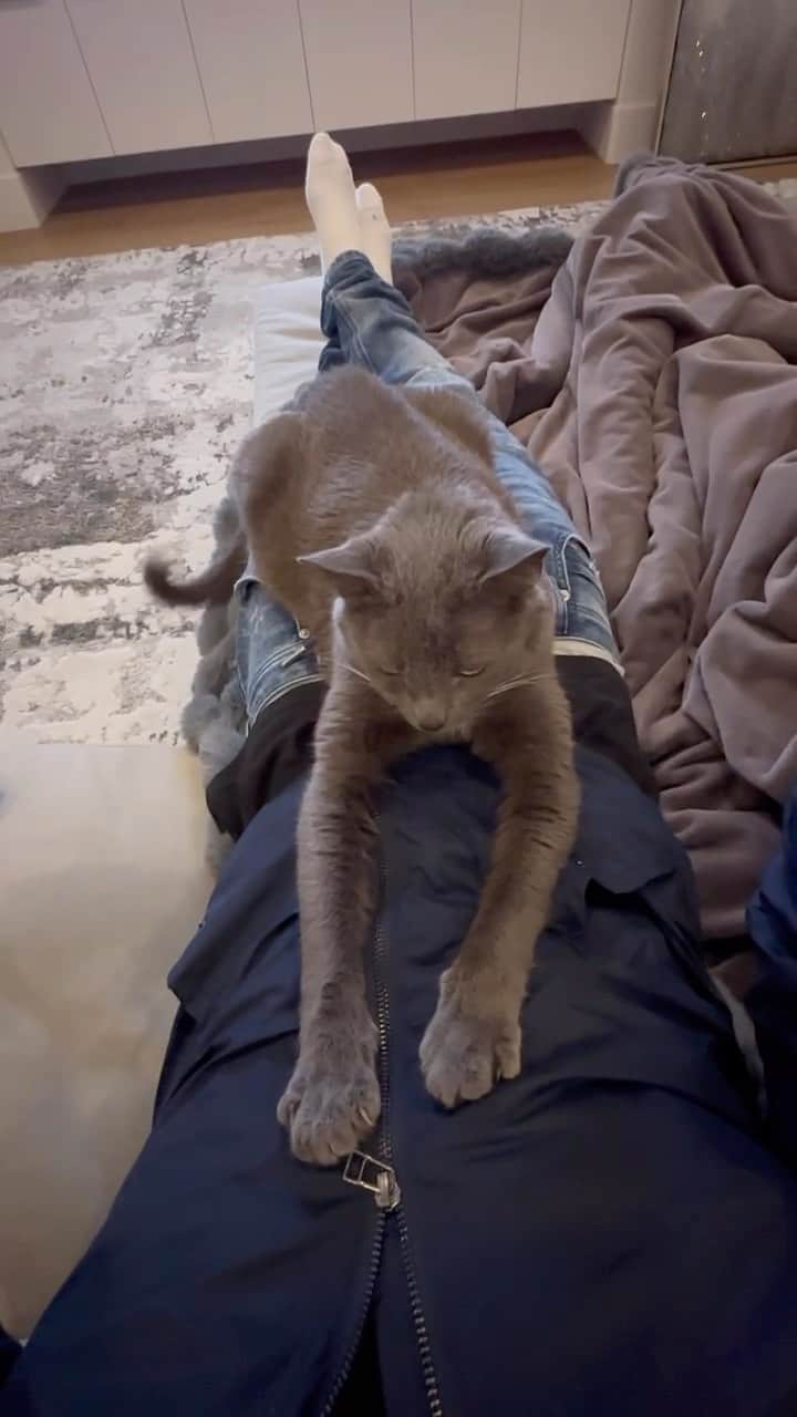 ロブ・ディアデックのインスタグラム：「Nothing quite like the love of a majestic creature after a long trip . 🥩🐈‍⬛🤍」