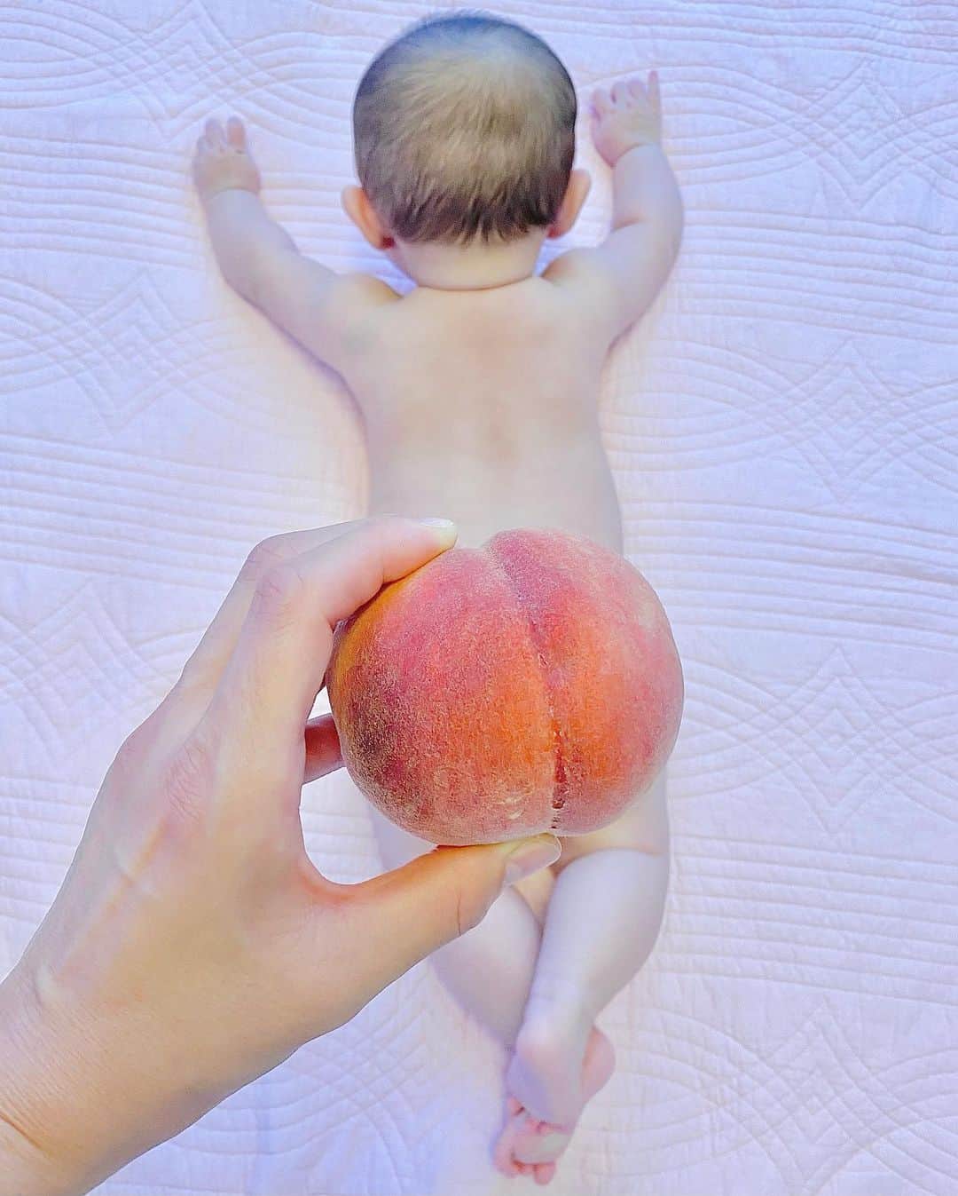 夕霧らいのインスタグラム：「今しかできないフルーツアート🎨 首がしっかり座ってきて、今は寝返りして、よくこの体勢でウニョウニョしています☺️ ２種類の白桃をお尻に見せかけて🫣💕 . I love peaches. Among them, this peach is exceptional! . . #桃赤ちゃん  #フルーツアート #赤ちゃんアート　 #桃好き #ピーチガール #5ヵ月ベビー  #女の子ベビー  #お尻 #peach #babygirl」