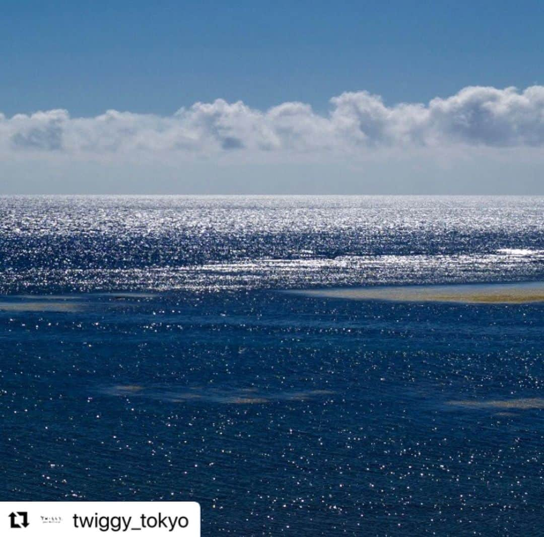 松浦美穂さんのインスタグラム写真 - (松浦美穂Instagram)「#Repost @twiggy_tokyo with @use.repost ・・・ 平素は格別のご愛顧を賜り、厚くお礼申し上げます。  誠に勝手ながら、サロンメンテナンスのため、以下の期間を夏季休業とさせていただきます。  ◇夏季休業期間 2023年8月13日(日)　～　8月17日(木) ※各スタッフ、別日でもお休みを頂戴しております。詳細はお電話にてご確認くださいませ。  ご不便をお掛け致しますが、何卒ご理解のほどお願い申し上げます。  TWIGGY. 03-6413-1590」8月5日 9時51分 - twiggy_mihomatsuura