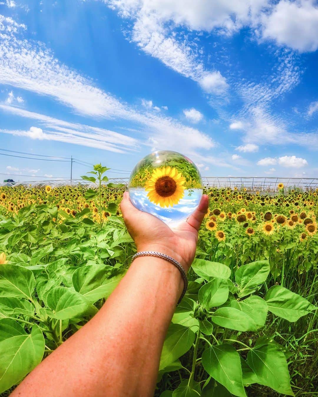 GoProのインスタグラム