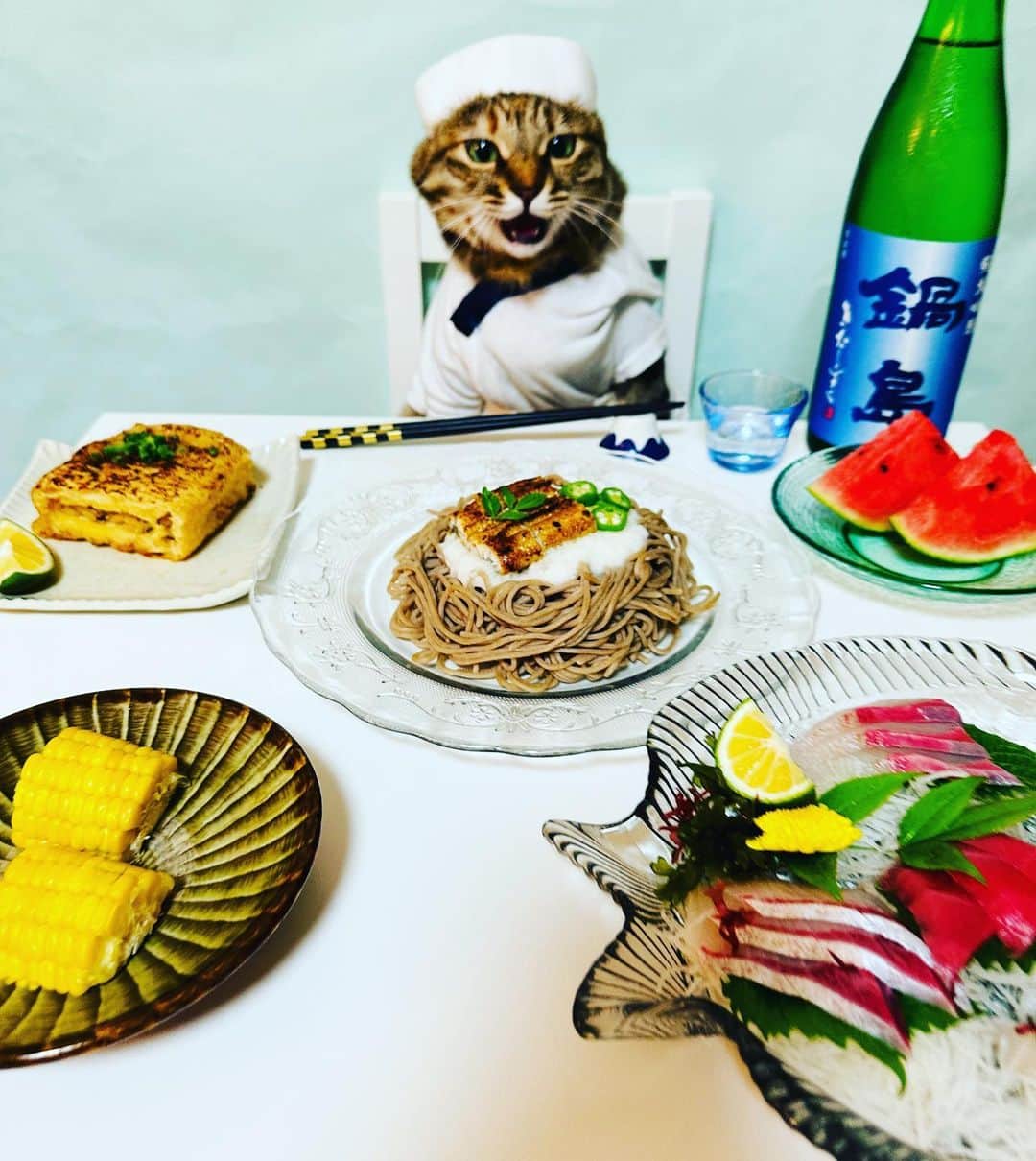マロさんのインスタグラム写真 - (マロInstagram)「🐟Today's menu🐟 ✴︎ ・うなとろそば (Soba Noodle Soup with Grated Yam and eels) ・刺身 (Sashimi) ・おあげ (fried tofu) ✴︎ 8月もマロペースな投稿にお付き合いいただけたら幸いです🍀 ✴︎ Thank you for your support! ✴︎ #cat#cats#catsofinstagram#😻 #sweetcatclub#japanesefood #japaneseculture#chef#sake #ねこ#ねこ部#ねこすたぐらむ  #猫#料理#日本酒#板前#保護猫」8月5日 19時50分 - rinne172