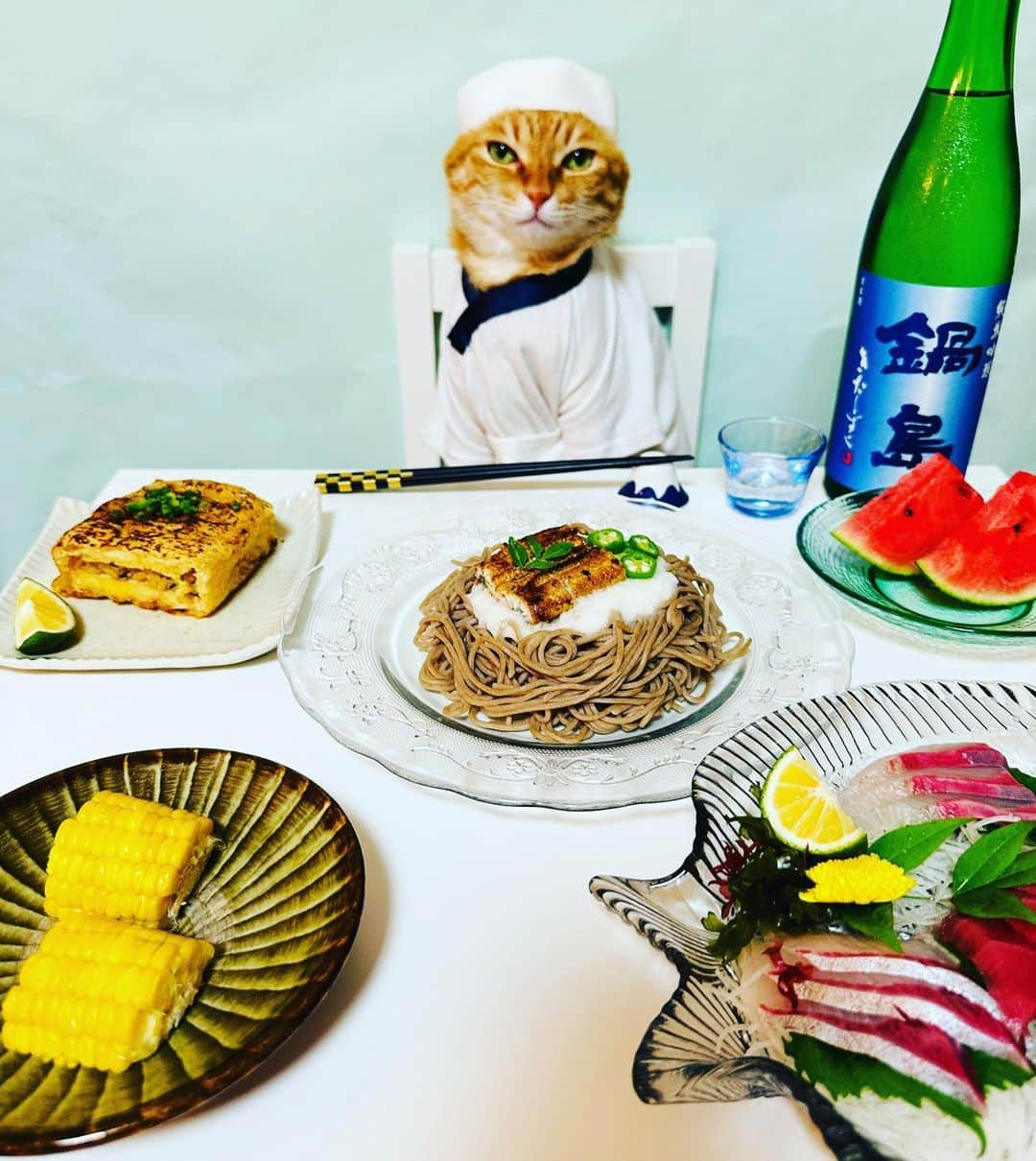 マロさんのインスタグラム写真 - (マロInstagram)「🐟Today's menu🐟 ✴︎ ・うなとろそば (Soba Noodle Soup with Grated Yam and eels) ・刺身 (Sashimi) ・おあげ (fried tofu) ✴︎ 8月もマロペースな投稿にお付き合いいただけたら幸いです🍀 ✴︎ Thank you for your support! ✴︎ #cat#cats#catsofinstagram#😻 #sweetcatclub#japanesefood #japaneseculture#chef#sake #ねこ#ねこ部#ねこすたぐらむ  #猫#料理#日本酒#板前#保護猫」8月5日 19時50分 - rinne172