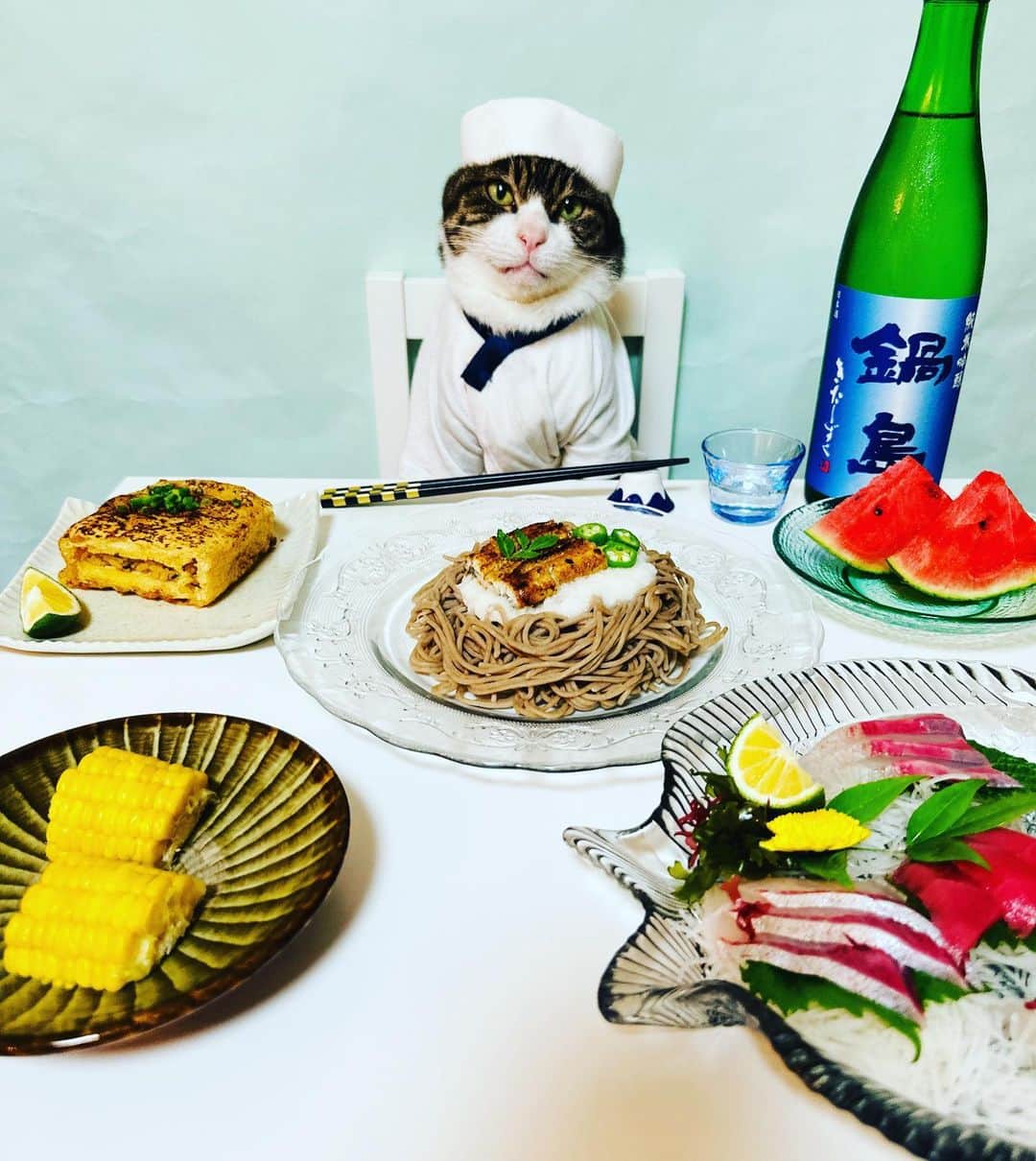 マロのインスタグラム：「🐟Today's menu🐟 ✴︎ ・うなとろそば (Soba Noodle Soup with Grated Yam and eels) ・刺身 (Sashimi) ・おあげ (fried tofu) ✴︎ 8月もマロペースな投稿にお付き合いいただけたら幸いです🍀 ✴︎ Thank you for your support! ✴︎ #cat#cats#catsofinstagram#😻 #sweetcatclub#japanesefood #japaneseculture#chef#sake #ねこ#ねこ部#ねこすたぐらむ  #猫#料理#日本酒#板前#保護猫」