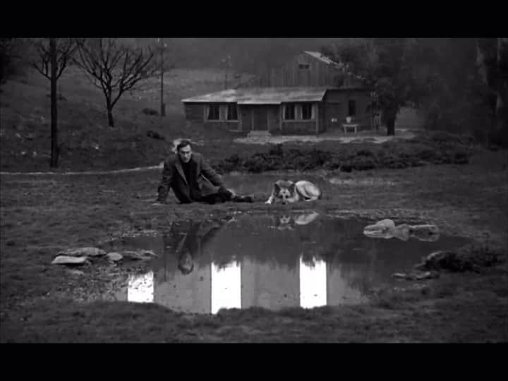 ウィリー・カルティエのインスタグラム：「NOSTALGIA by Andreï Tarkovsky」
