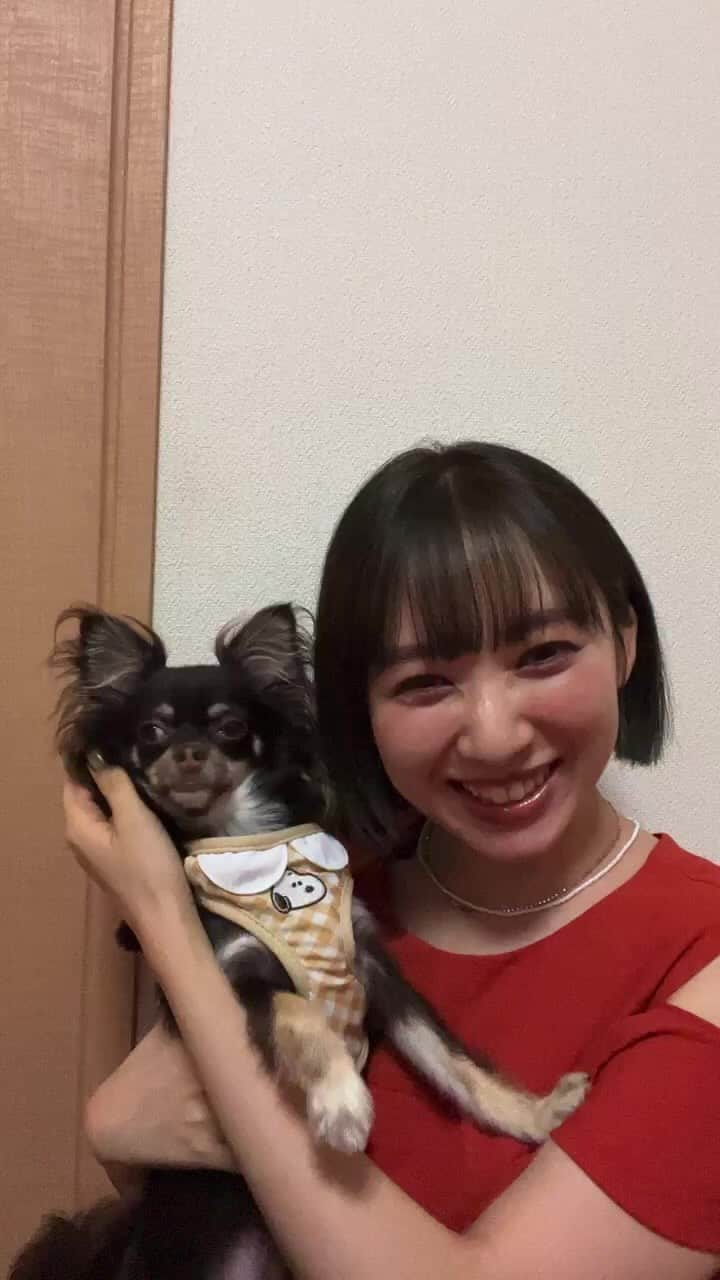 佐藤詩織のインスタグラム：「いぬすたらいぶ🐶」