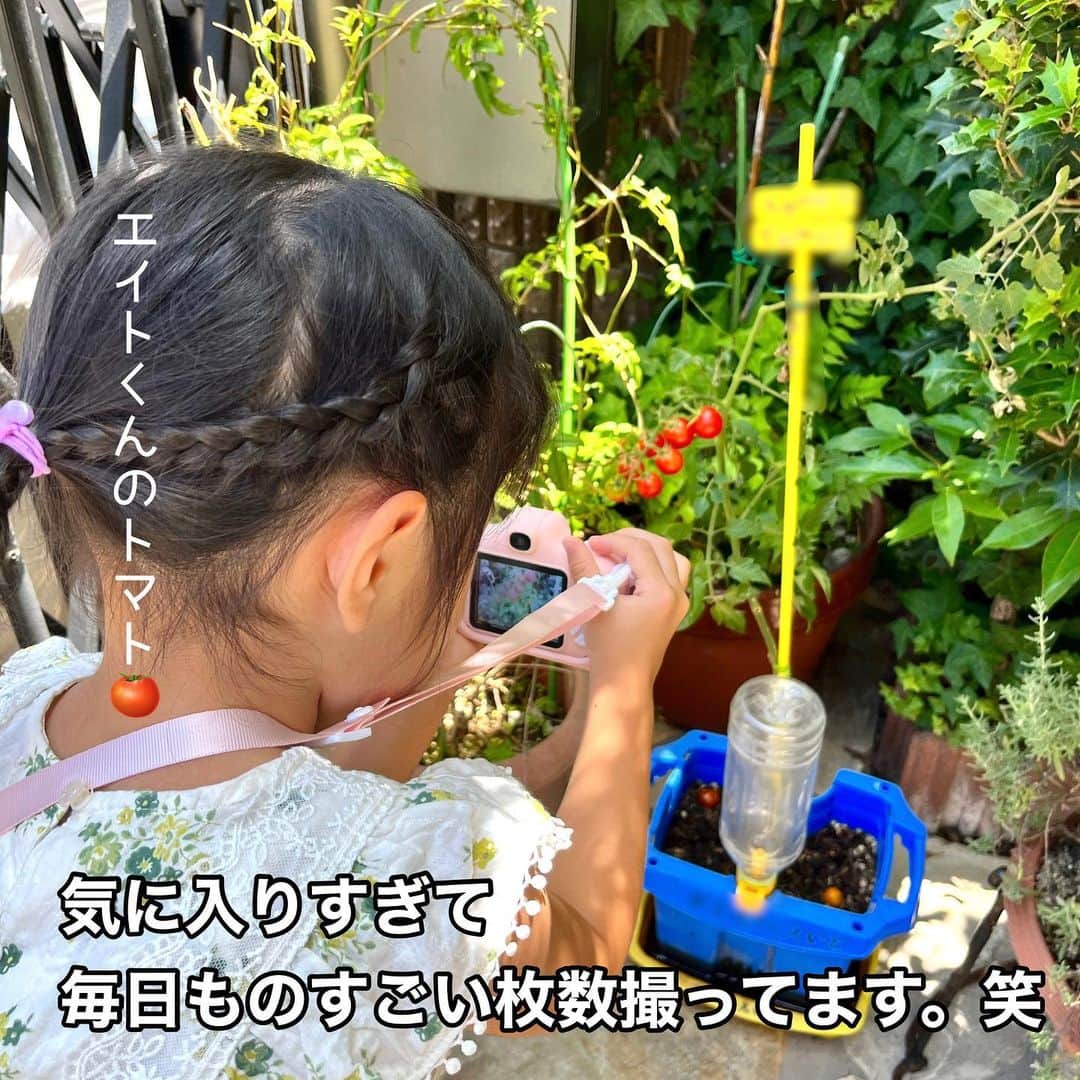makikoさんのインスタグラム写真 - (makikoInstagram)「❤︎ こっちゃん念願のキッズカメラ📷💕  デザインといい、カラーといい、めっちゃ可愛いやーん🩷  普段私のスマホで写真撮りたがるし、知らぬ間にカメラロールがこっちゃんの自撮りで埋めつくされるからさ😂  もうこれで心置きなく自分のカメラで、好きなものたくさん撮ってくれていいよ〜🥰  このピントキッズは、動画も撮れるし、自撮りも出来るし、ミニゲームも出来るねん🙌🏻✨  今、 @cocotas_official でフォトコンテストが開催中なんやって✨📷 どの時期に購入したピントキッズカメラでも参加可能みたい🙆🏻‍♀️ 詳しくは公式アカウントを確認してみてね🌟😊  #ココタス #ピントキッズ #pintkids #トイカメラ #キッズカメラ #PR」8月5日 20時26分 - batako93