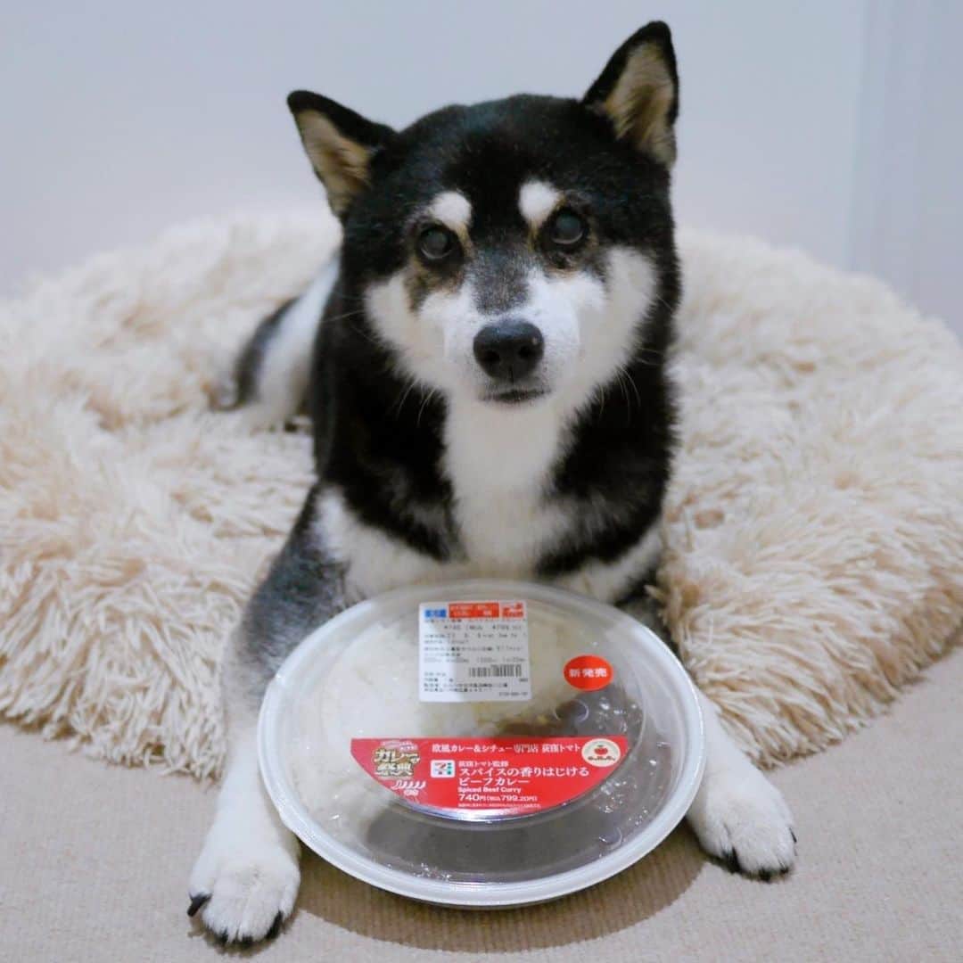 くろのグルメインスタ