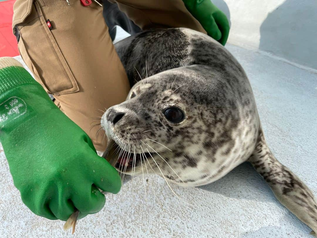 北海道じゃらん【公式】のインスタグラム