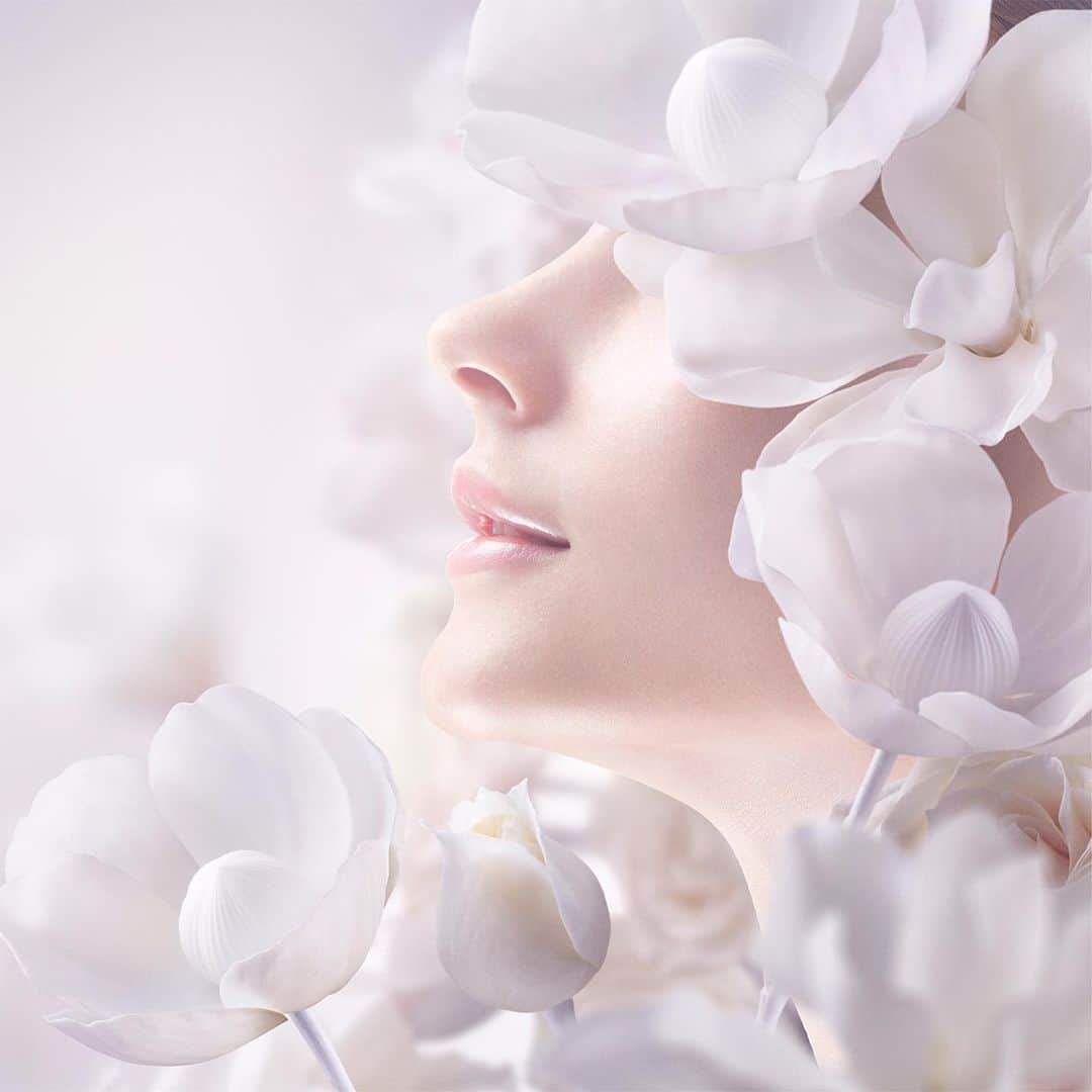 のインスタグラム：「AQ skincare fragrance enhances the beauty of your skin.   Starting with the top note of fresh Citrus, followed by the graceful and floral middle notes of Champak, Epiphyllum oxypetalum and Sandalwood. Lastly, Woody and Musk base notes wrap you up gently.  香りから肌を美しく見せるAQのスキンケアフレグランス。  爽やかなシトラスをトップに、 金香木、月下美人、白檀などのフローラルが気品と華やかさを奏でるミドル、 続くラストは、あたたかく柔らかなウッディとムスクが包み込むように重なります。  10月16日発売　新商品 AQ　オードパルファン  #AQフレグランス #AQfragrance #フレグランス #ＡＱオードパルファン　 #AQeaudeparfum　#eaudeparfum #decorte #コスメデコルテ」