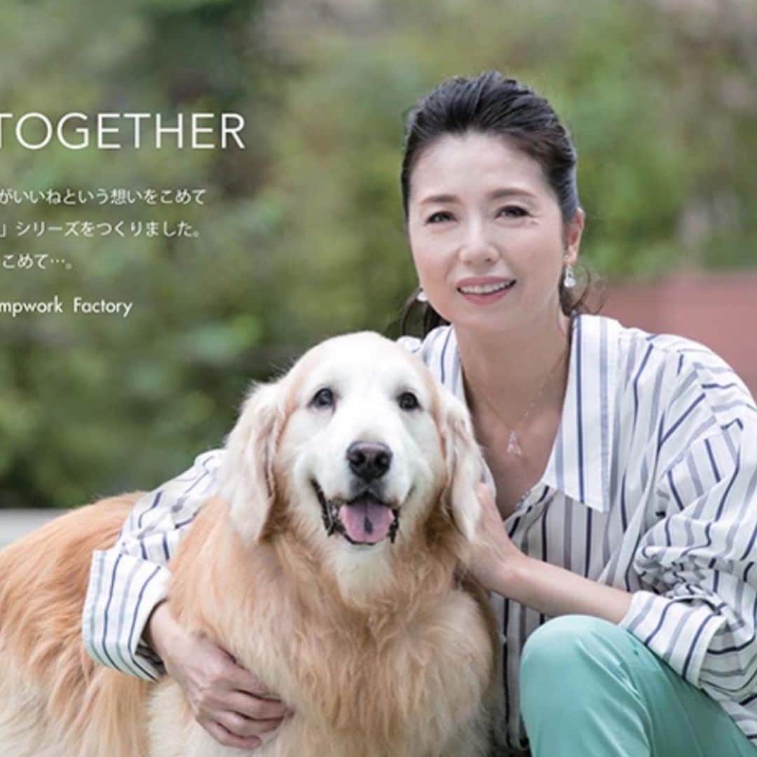 高橋ひとみさんのインスタグラム写真 - (高橋ひとみInstagram)「2021年9月に愛犬「ももえ」をモチーフにしてHARIOランプワークファクトリーさんに耐熱ガラスで 作っていただいたアクセサリー「BETTER TOGETHER 」シリーズが福岡デビュー㊗️  明日、8/6(日)まで福岡　六本松蔦屋書店でPOP UP SHOPを開催しています💕  @hario_lwf  #hariolampworkfactory  @better_together_hariolwf #六本松蔦屋書店 @ropponmatsu_tsutayabooks」8月5日 12時27分 - hitomi_momoe
