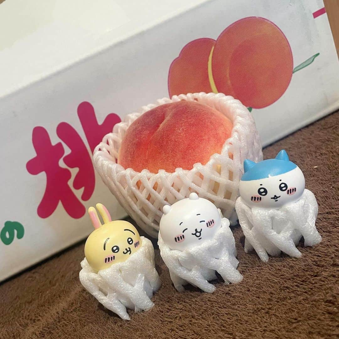 長江愛美のインスタグラム：「🍑🐻‍❄️🐱🐰🥭  #桃三昧 #マンゴー #get #桃 #peach #mango」