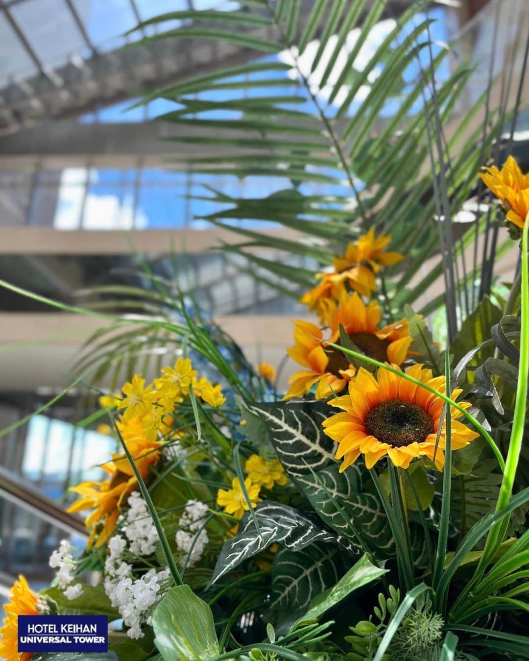 ホテル京阪ユニバーサル・タワーのインスタグラム：「*  【ひまわり】  ホテル内のお花も夏仕様になりました🌻  ひまわりを見ると「夏」をより感じますね😎  暑い日が続きますが、 水分補給をしっかりして 夏の旅行を満喫しましょう🎐  ご宿泊の予約はこちらから  @hotel_keihan_universal_tower https://www.hotelkeihan.co.jp/tower/ ⁡ #ホテル京阪ユニバーサルタワー #usjオフィシャルホテル #大阪ホテル #大阪旅行 #ユニバ #大階段 #ロビー #写真スポット #hotelkeihanuniversaltower #universalstudiosjapan #usj #universal #유니버설스큐디오재팬 ⁡ ※掲載内容は予告なく変更する場合がございます。 あらかじめご了承ください。」