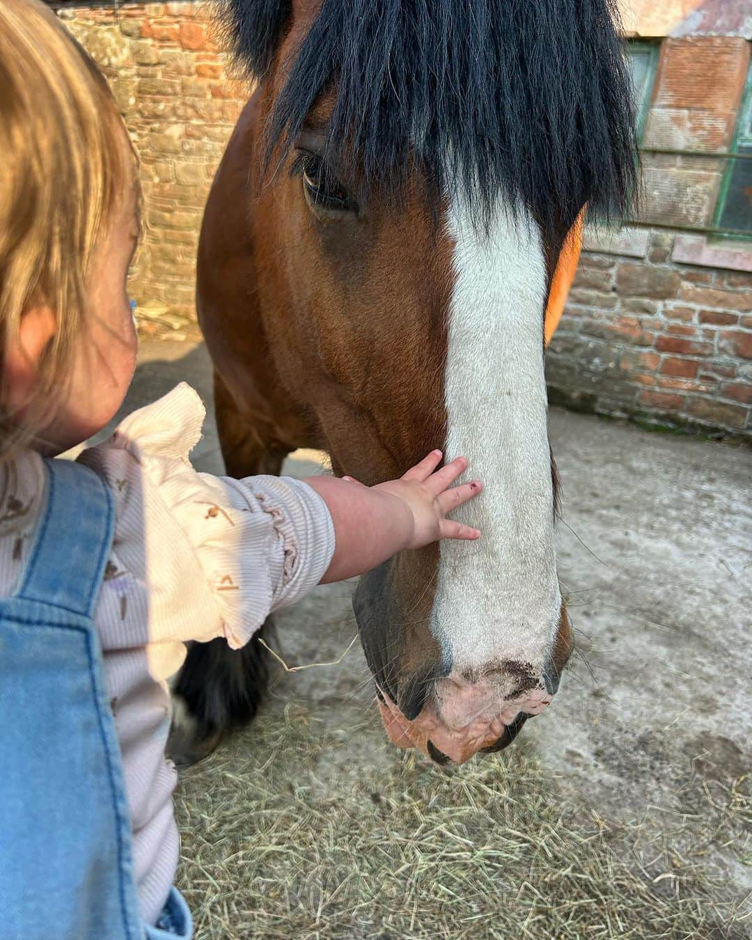 ヘレン・スケルトンのインスタグラム：「How many of these do I need to put up to persuade Granda…… 😝😜 🙏horses come between toys and boys right? #summer #summerholidays #freshair #ponies #babygirl #horses #countryside」