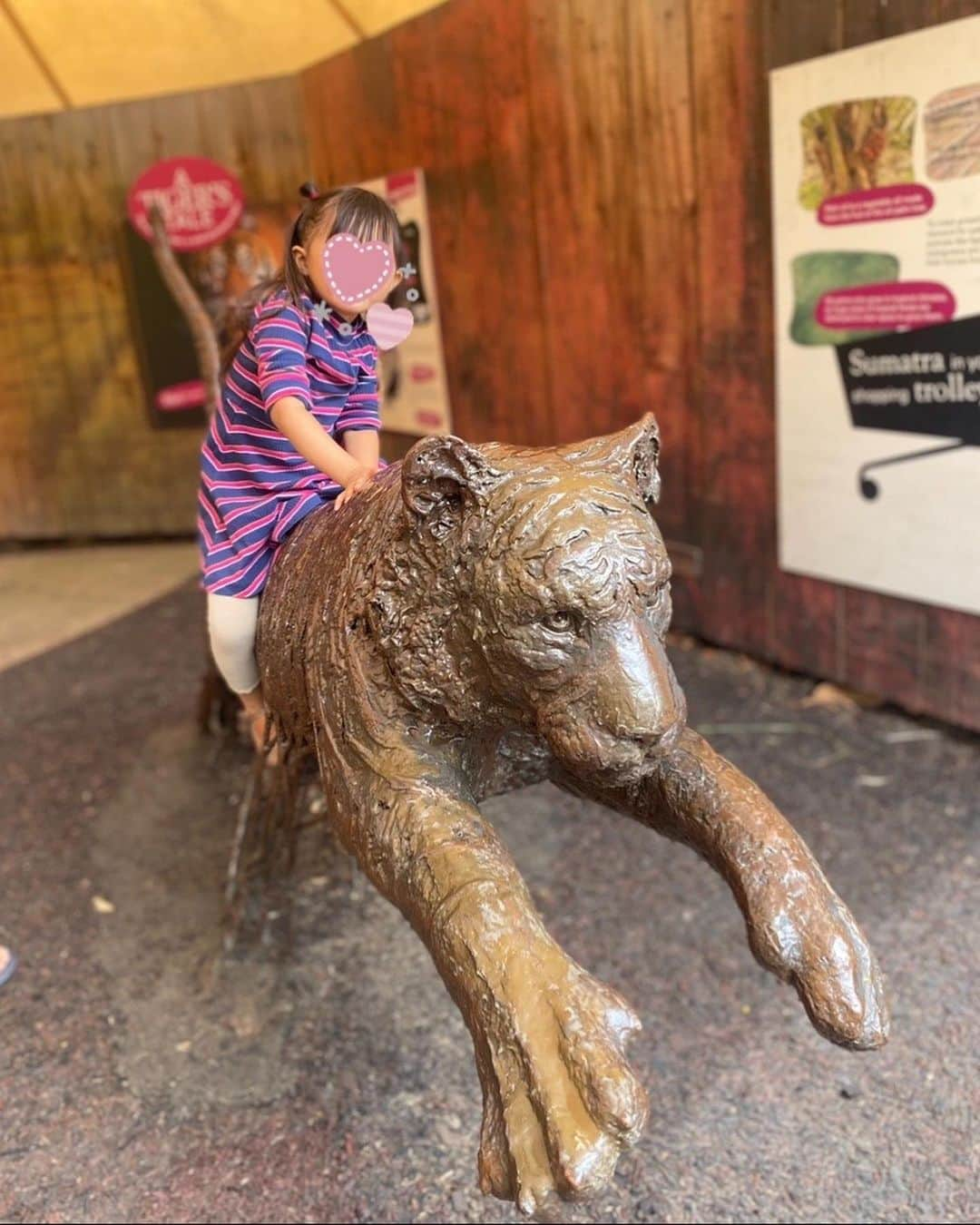 酒向杏奈さんのインスタグラム写真 - (酒向杏奈Instagram)「. . "London zoo" . .  1828年に創立されたロンドン動物園。 . もともとロンドン動物園は、研究のために動物が収集がされたことが始まりのようで、今でも絶滅に瀕した動物の保護や繁殖、 研究機関としての役割を担っているそうです。 .  普通の動物園とは少し違い、動物を見るのではなく、そこで暮らす彼らに会いに行く、そんなコンセプトを感じました！ . . #londonzoo  #london」8月5日 16時51分 - annacotta715