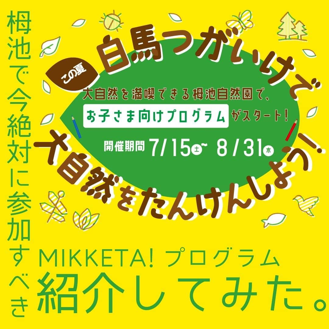 栂池高原スキー場のインスタグラム