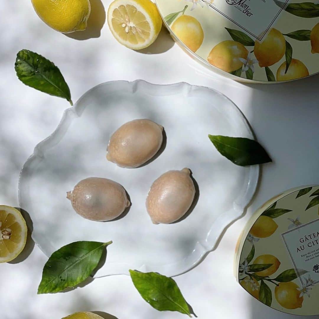 堂島ロール（モンシェール）さんのインスタグラム写真 - (堂島ロール（モンシェール）Instagram)「. . 全国配送いたします 🍋レモンケーキ🍋  . レモン香るチョコレートをま さわやかなレモンの香りが広がる、可愛らしいレモン型のケーキ。  レモンペーストとピューレを混ぜ込んでオーブンでふんわりと焼き上げた生地に、ほんのりレモンを感じるホワイトチョコレートをまとわせました。  甘酸っぱいレモンの味わいを存分にお楽しみいただけるひと品です。 ※モンシェール全店舗＆通販ページにて全国配送いたします。  レモンケーキ 5個入り　 1,404円（税込）」8月5日 17時40分 - dojima_moncher