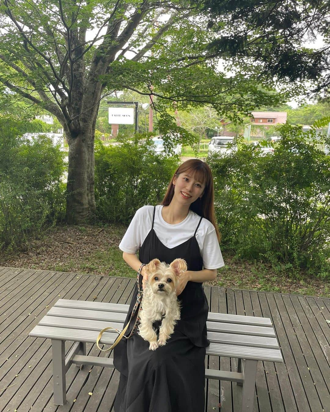 溝口恵のインスタグラム：「髪の毛切る前のお写真ですが…  ひじきがかわいいので🐶  #ひじめぐ #dog #犬 #ミックス犬」