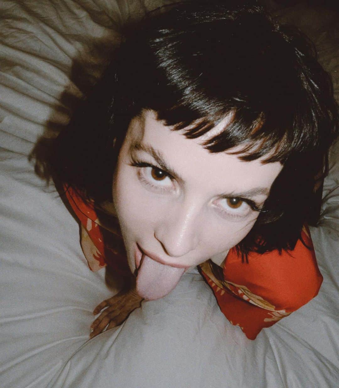 のインスタグラム：「Concupiscent concubine con artist conspicuously conniving contumelious contrarians into consanguineous consecrations in carnivorous convents ➕」