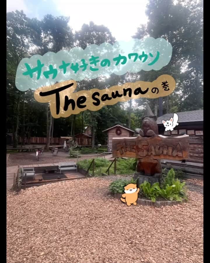 安住麻里のインスタグラム：「サウナ好きのカワウソ LAMP野尻湖 The Sauna の5号棟 ヴィーシにいってきました！ #lamp野尻湖 #thesauna #sauna #サウナ好きのカワウソ #サウナ #サウナ好き」