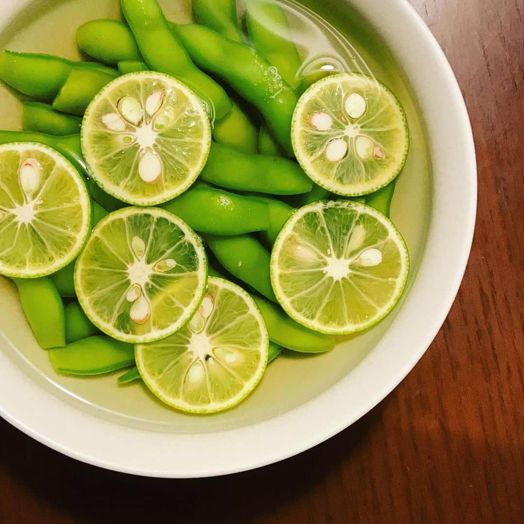 志摩有子さんのインスタグラム写真 - (志摩有子Instagram)「そろそろ塩茹でするだけでは飽きてきた枝豆を　@leikoga さんに教えてもらったすだち風味の出汁浸しに。簡略化して白だしバージョンで。白だしを水で薄めて茹でて粗熱を取った枝豆を浸して冷蔵庫で冷やすだけ。器に汁ごと移してすだちを浮かべて完成。すだちの風味爽やかなお出汁をチューチュー吸うのが後を引く。  #枝豆のだし浸し #白だしレシピ #オツな味 @arikoya_official」8月5日 21時52分 - ariko418