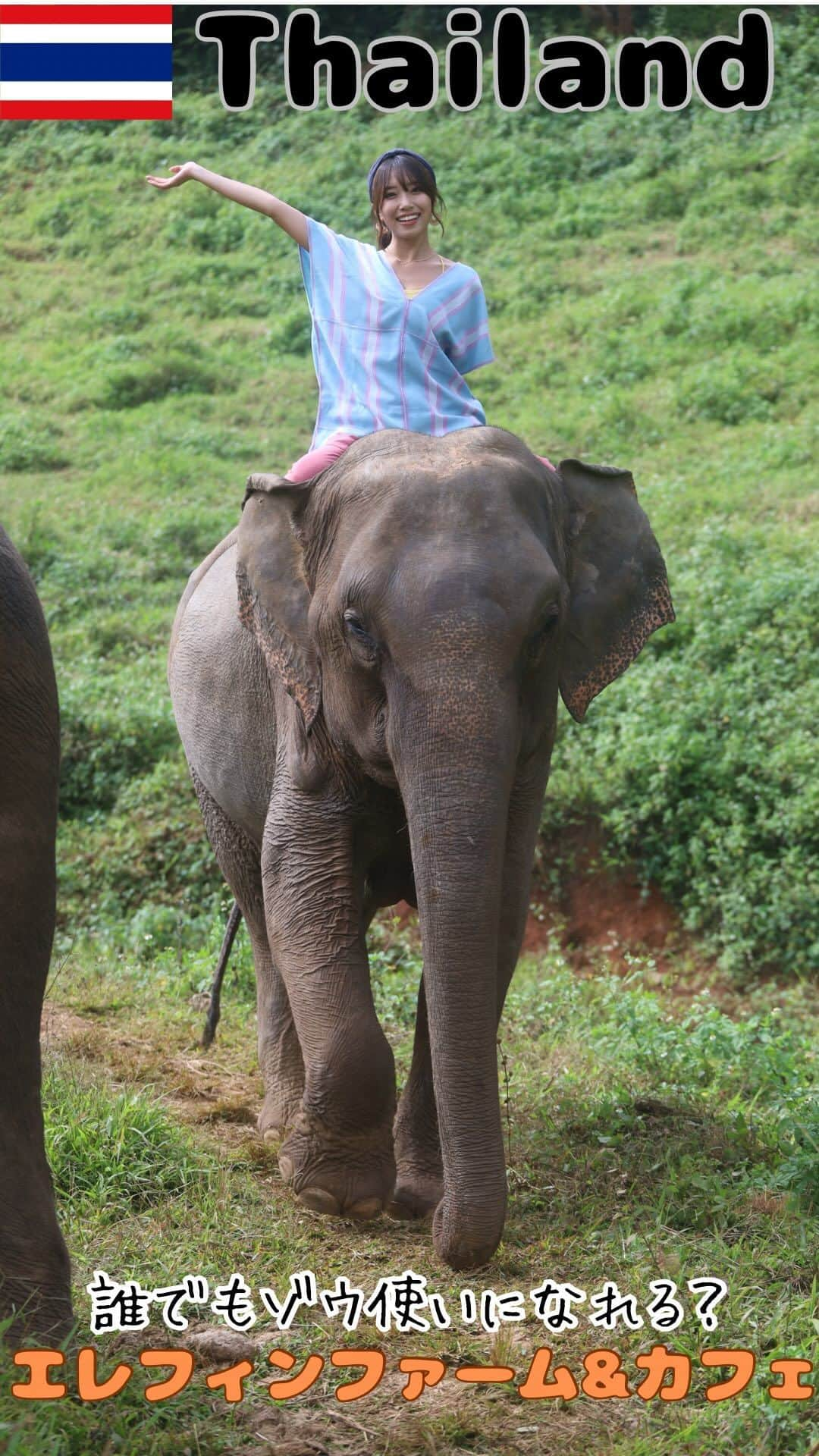 溝呂木世蘭のインスタグラム：「チェンマイにある 📍エレフィンファーム&カフェ  ゾウ使い体験できちゃう🐘  ぜひ行ってみてね！  #エレフィンファームカフェ#ゾウ使い#タイ#旅好き#旅行好き#thailand#旅好きな人と繋がりたい #チェンマイ#海外移住#タイ留学」