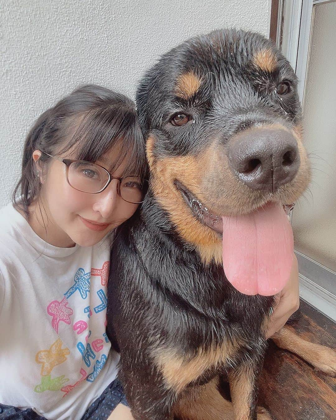 金城真央のインスタグラム：「ダリルがお家に来てそろそろ2ヶ月🐶 愛情表現をしっかりしてくれると同時に自分を出してくる事が多くなりました(笑) しっかりプールで遊んだあとに二人で日向ぼっこ☀️ #金城真央 #女優 #タレント  #モデル #ナレーター #MC #アラフォー女子 #多頭飼い  #犬のいる暮らし #いぬすたぐらむ #わんすたぐらむ #犬バカ部 #愛犬 #いぬ部 #犬好き #親バカ飼い主 #多頭飼い #大型犬 #ロットワイラー #気持ちは小型犬」