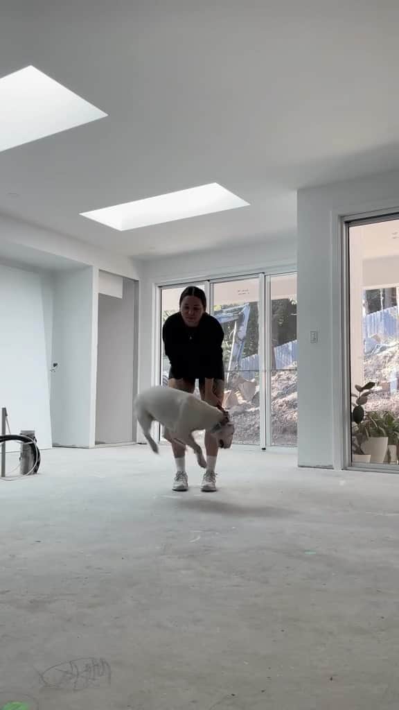 DogsOf Instagramのインスタグラム：「“This audio was made for Sadie” — @bel.essery 🙈💯  . . . #redbull #redbullwings #energeticdog #funnydogsofinstagram #dogsofinstagram #greatpetliving #funnydogvideos #highenergy」