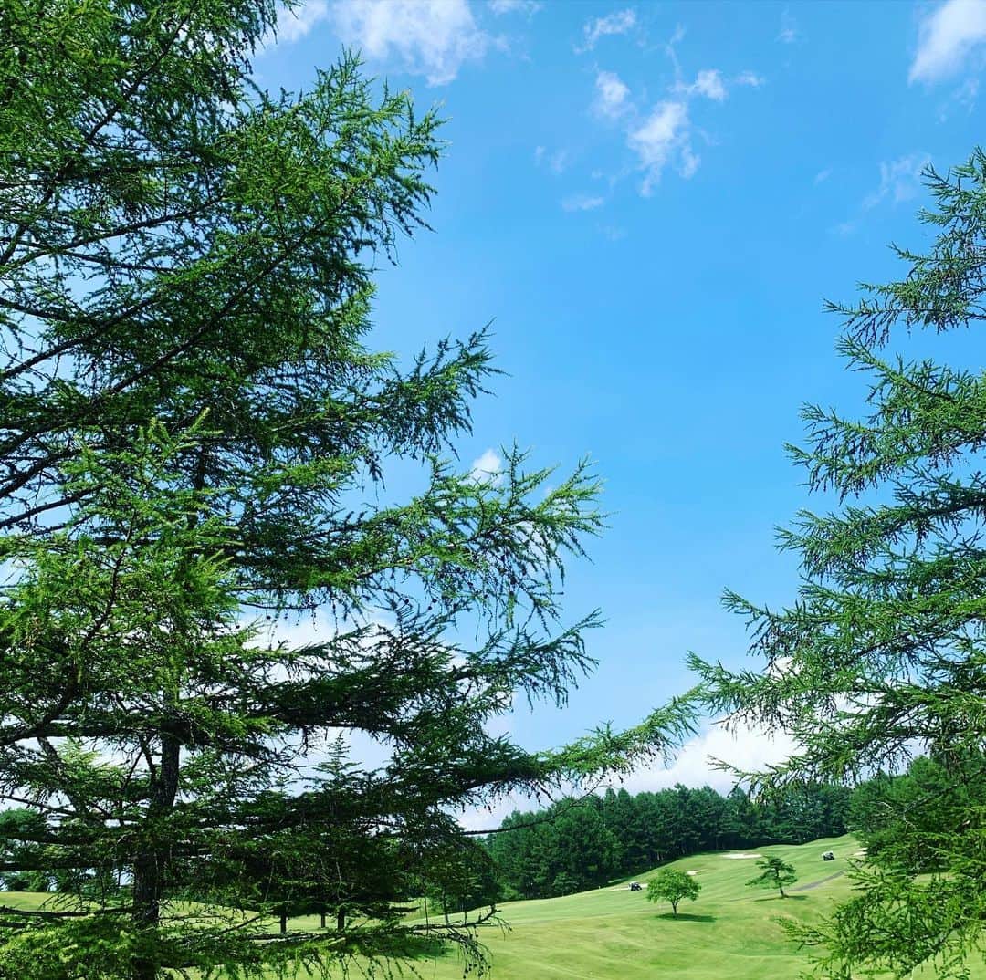 やすみりえさんのインスタグラム写真 - (やすみりえInstagram)「✨⛳️✨  8月最初の#ゴルフ は#軽井沢　にて。 暑いので、体調第一で無理せずラウンドするようにしています😊  #川柳#ことばの力#ことのは#575 #golf#ゴルフ上手くなりたい  #ゴルフ大好き #karuizawa  #太平洋クラブ軽井沢リゾート  #lanvinsport #ゴルフウェア  #水分補給忘れずに」8月5日 22時44分 - rie575kotonoha