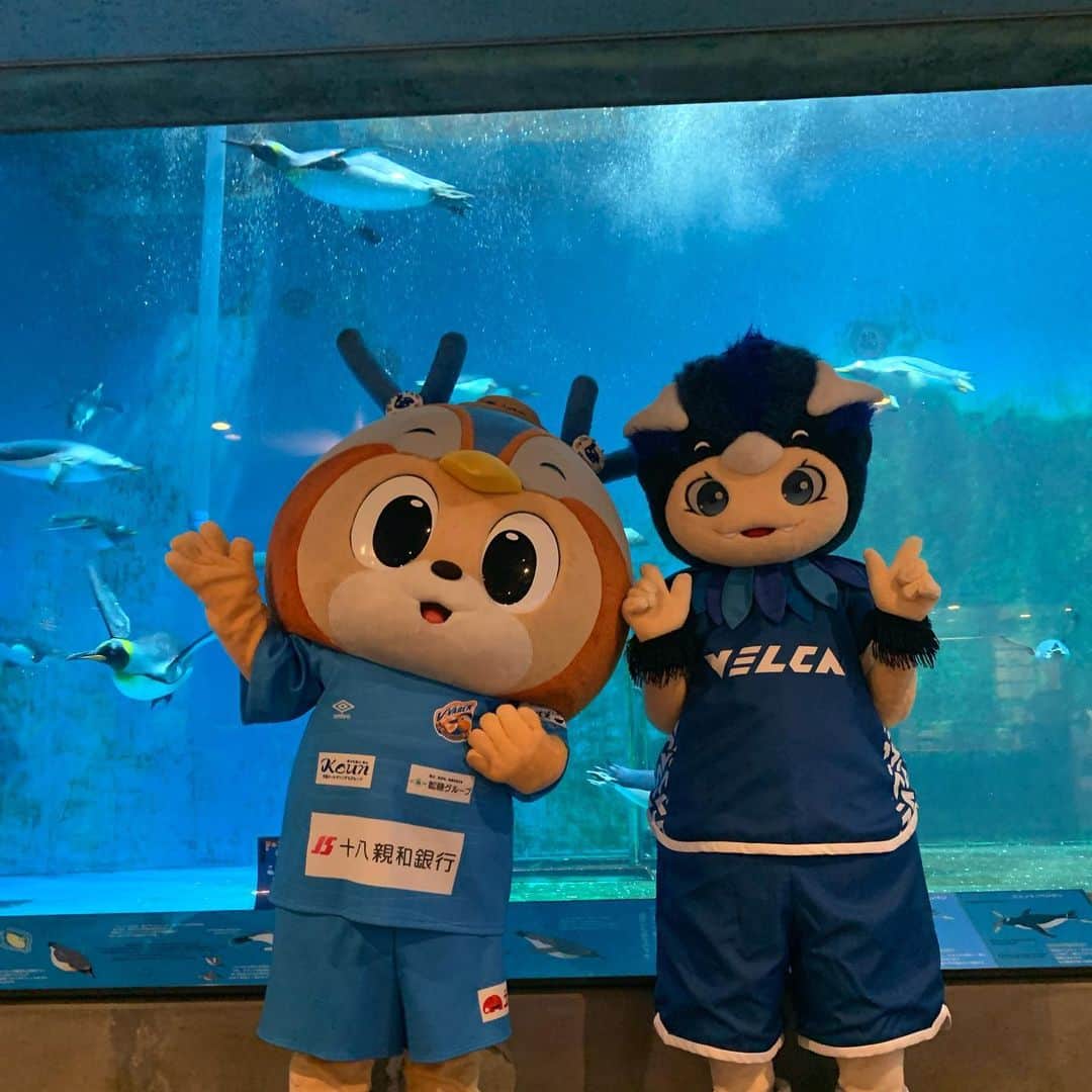 ヴィヴィくんのインスタグラム