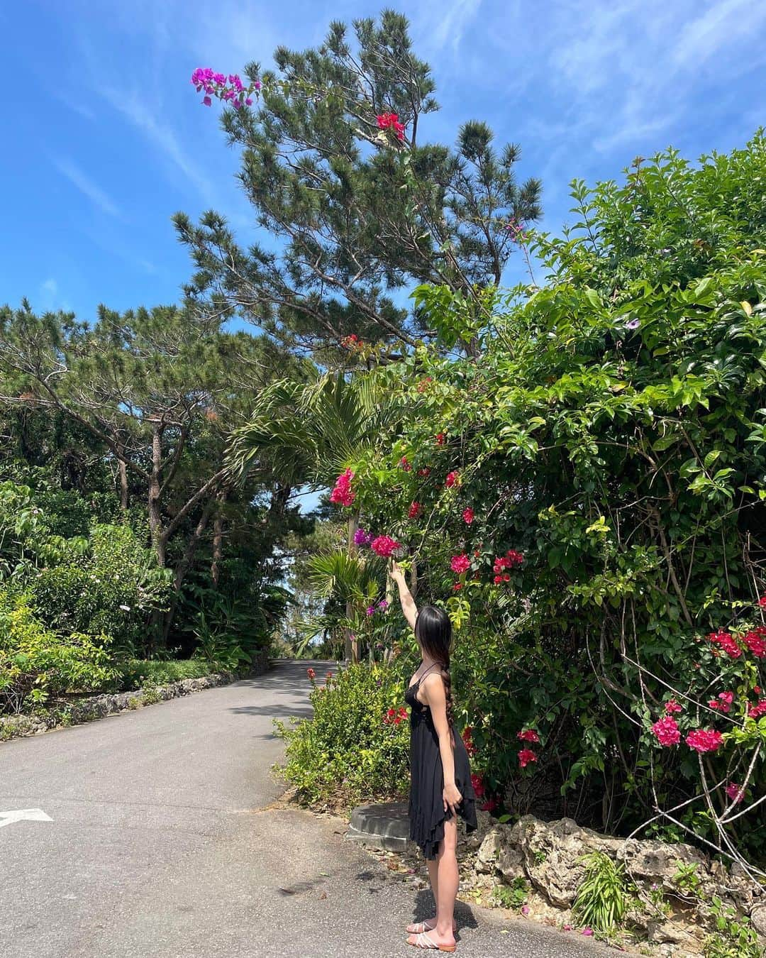 白間美瑠さんのインスタグラム写真 - (白間美瑠Instagram)「夏🌺🏝️🌴 #今日も暑いっ　#写真集　#写真どぞっ」8月5日 22時51分 - shiro36run