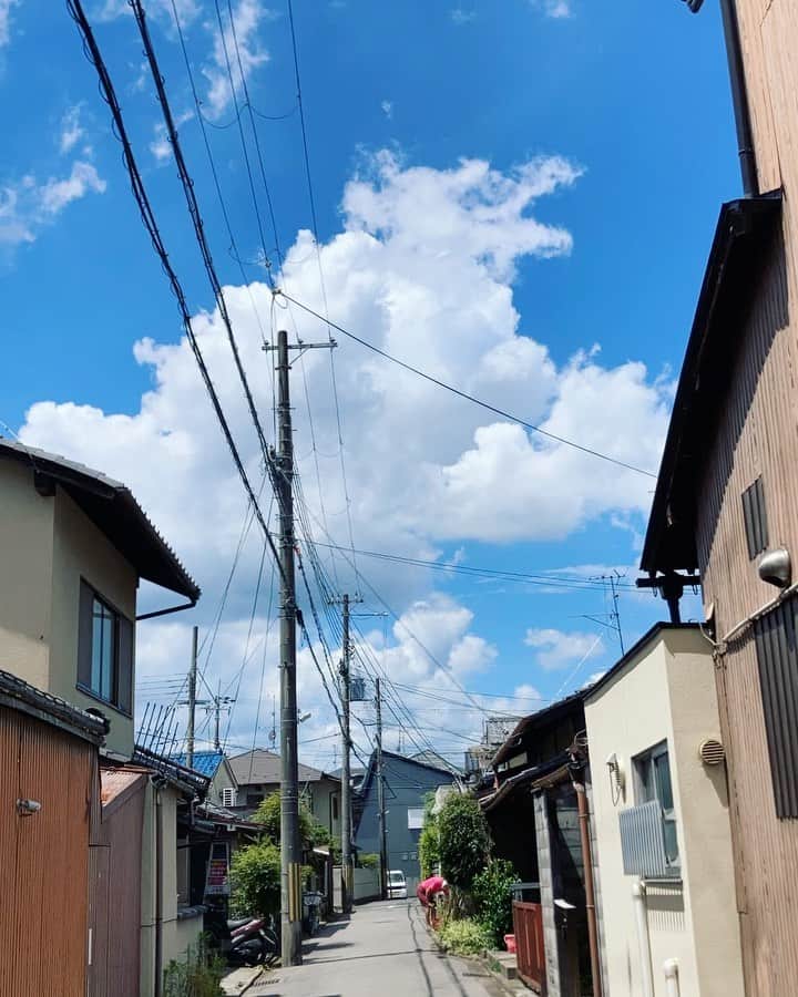 仁科貴のインスタグラム：「大阪の帰りに立ちよった故郷。それは暑いはずですわ…と云いたくなる絵面ばっかりw それでもやっぱり、京都はいい」