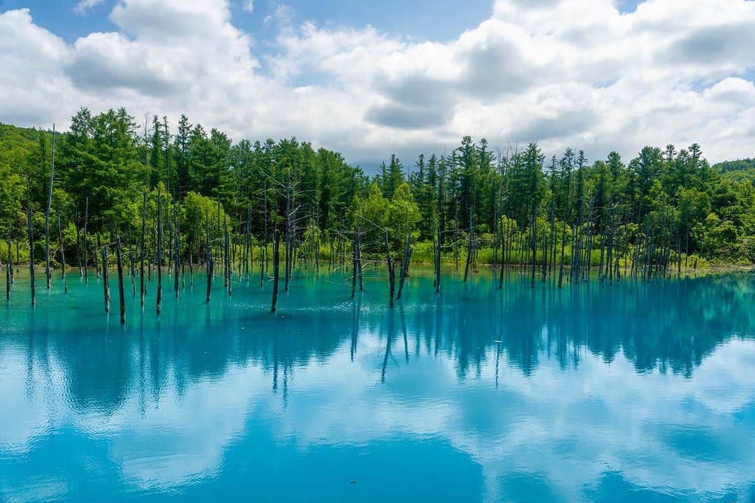 Michael Yamashitaさんのインスタグラム写真 - (Michael YamashitaInstagram)「Hokkaido Blue:  1)Lake Mashu known for the unique color of the water dubbed “Mashu Blue”. Located in a caldera in Akan-Mashu National Park, the lake has an unchanging water level, due to the fact that no rivers flow into or out of the lake. Mashu Lake  has had an average visibility level of  20 meters, claiming the title for the clearest in the world.   2) Blue Pond: Shirogane Blue Pond was made  by accident, as the by-product of attempts to control mudslides. Aluminum from the soil seeping into the water scatters the sunlight causes the pond to look blue.  #lakemashu #mashu #mashunationalpark #bluepond #bluelake #shiroganebluepond」8月6日 0時26分 - yamashitaphoto