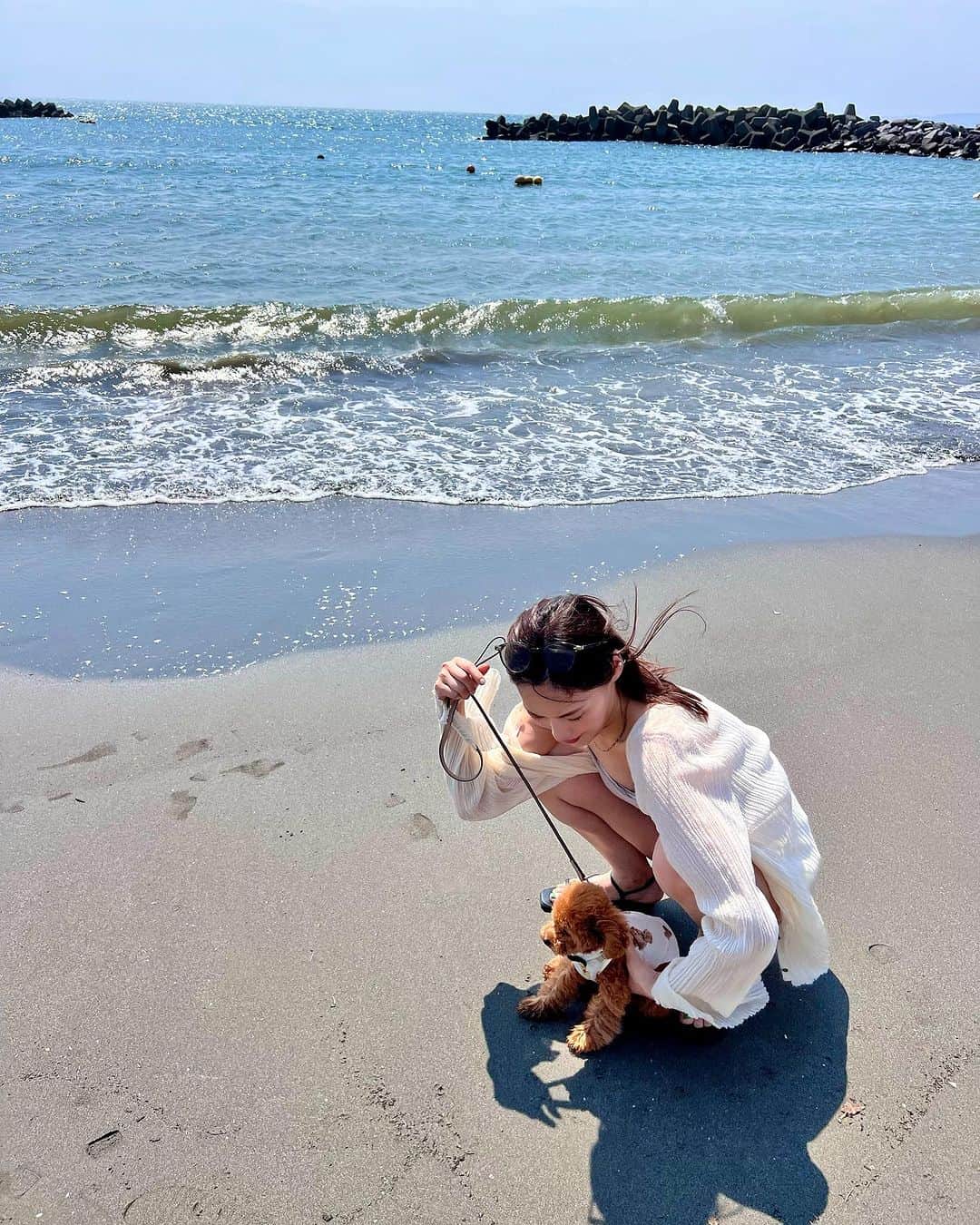 島村みやこさんのインスタグラム写真 - (島村みやこInstagram)「ソルたん初めてのウミ〜🐟 水大っ嫌いなので、 案の定逃げ回りました。  犬は泳げるって聞いたんだけど？笑 どゆこと？😂  今年はプールに挑戦したいとおもいます😂  心配。笑  チャプチャプから始めます🪼」8月6日 17時00分 - miyako_shimamura.official