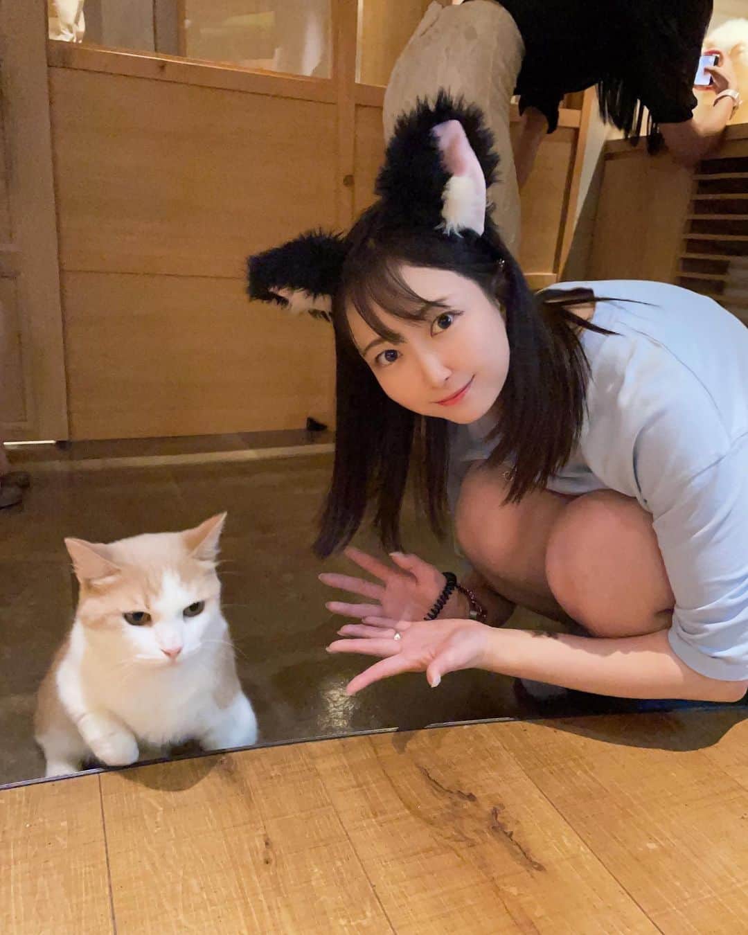 大崎菜々子さんのインスタグラム写真 - (大崎菜々子Instagram)「・ 猫カフェモカラウンジ新宿店さんに行きました🐈🐾 かわいい猫ちゃん