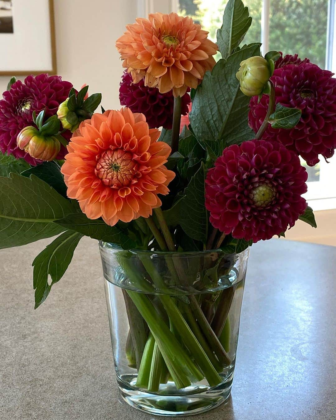 アイナ・ガーテンのインスタグラム：「First dahlias of the summer! Simple always works best for me.  When I'm setting the table for a dinner party, I start with the flowers and build from there.  It's kind of like having the dress and then matching the jewelry and shoes.  Fun tonight! #dahlias @sagharborflorist」